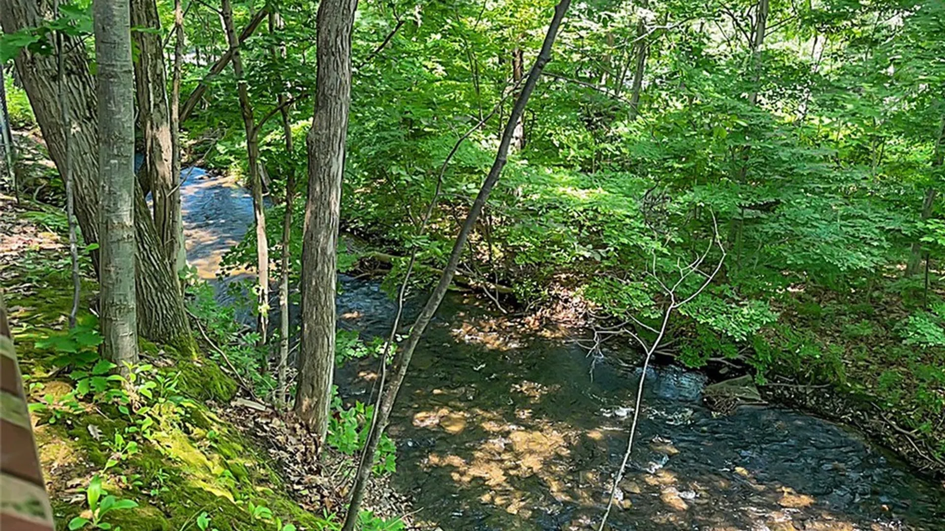 Property at 87 & 88 Lewis Street, Richland, NY 13142 21