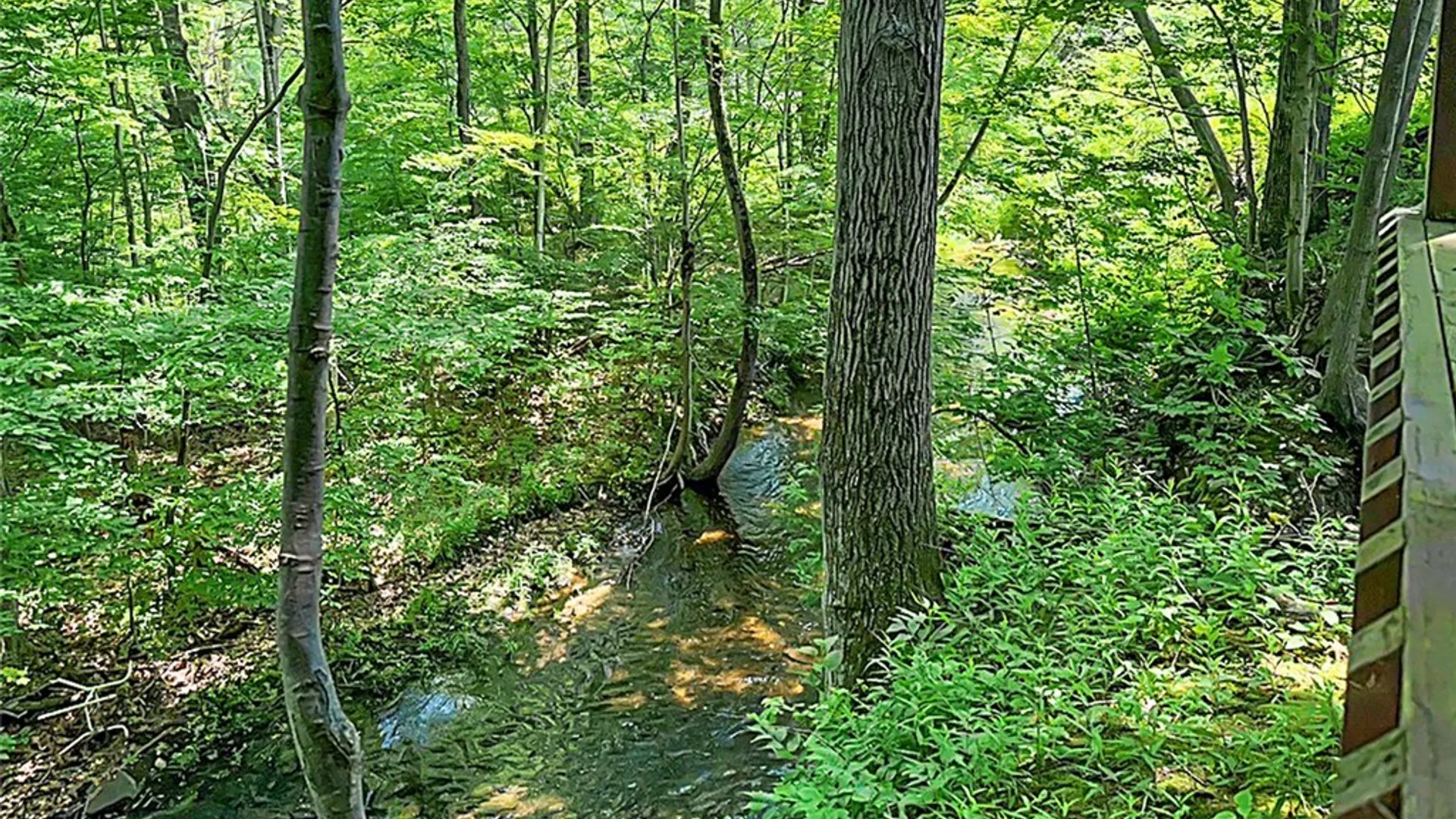 Property at 87 & 88 Lewis Street, Richland, NY 13142 22