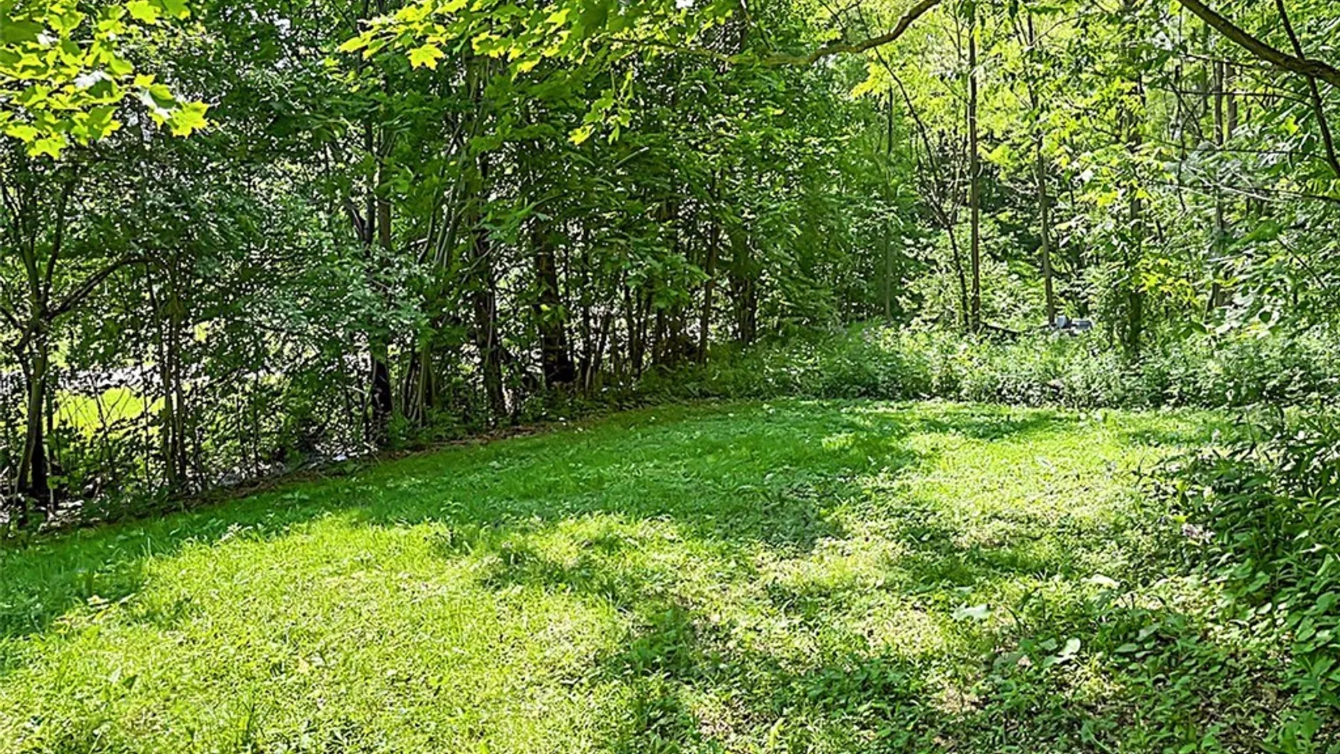 Property at 87 & 88 Lewis Street, Richland, NY 13142 32