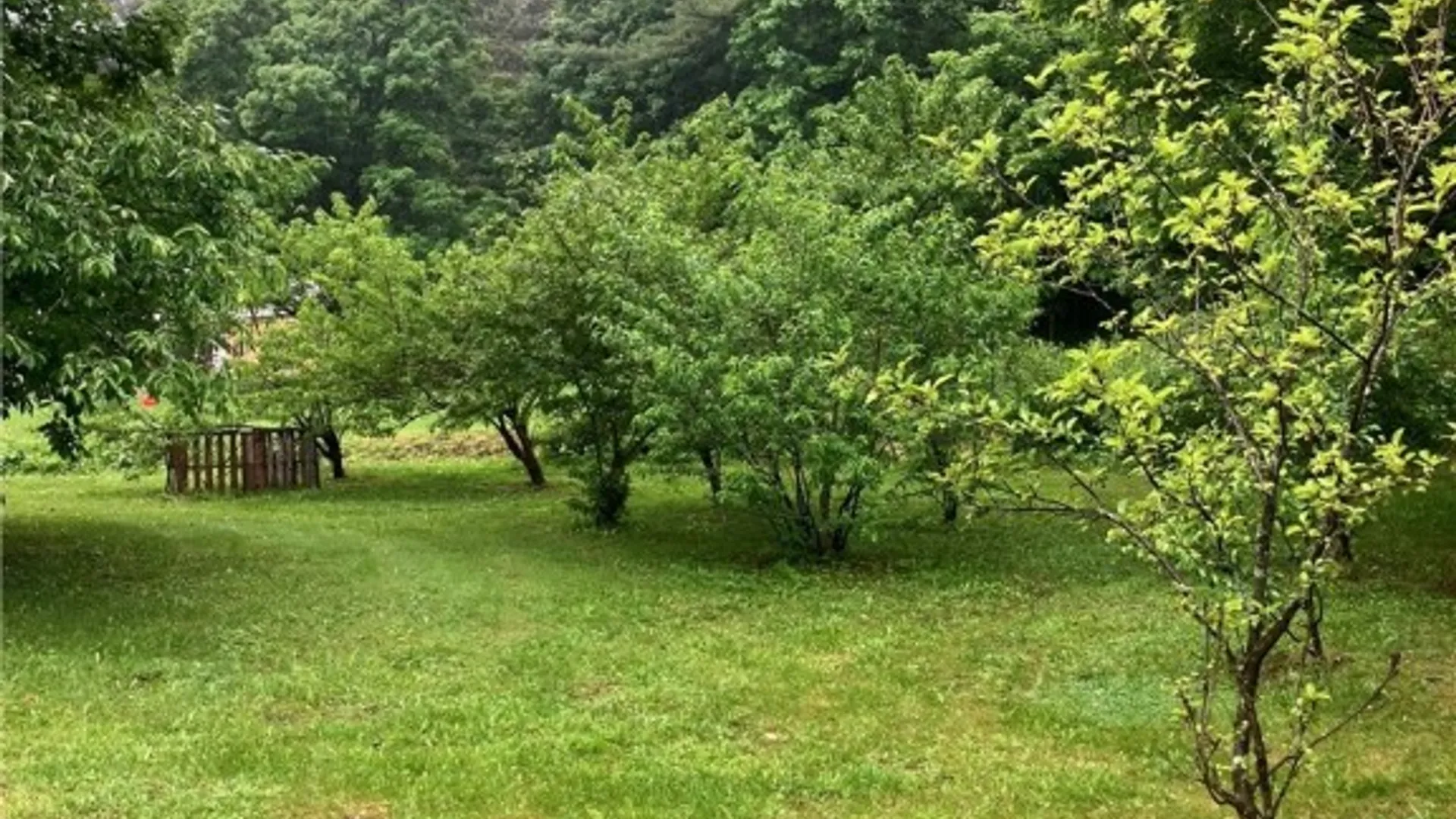 Property at 144 Prospect Valley Road, Candor, NY 13864 21