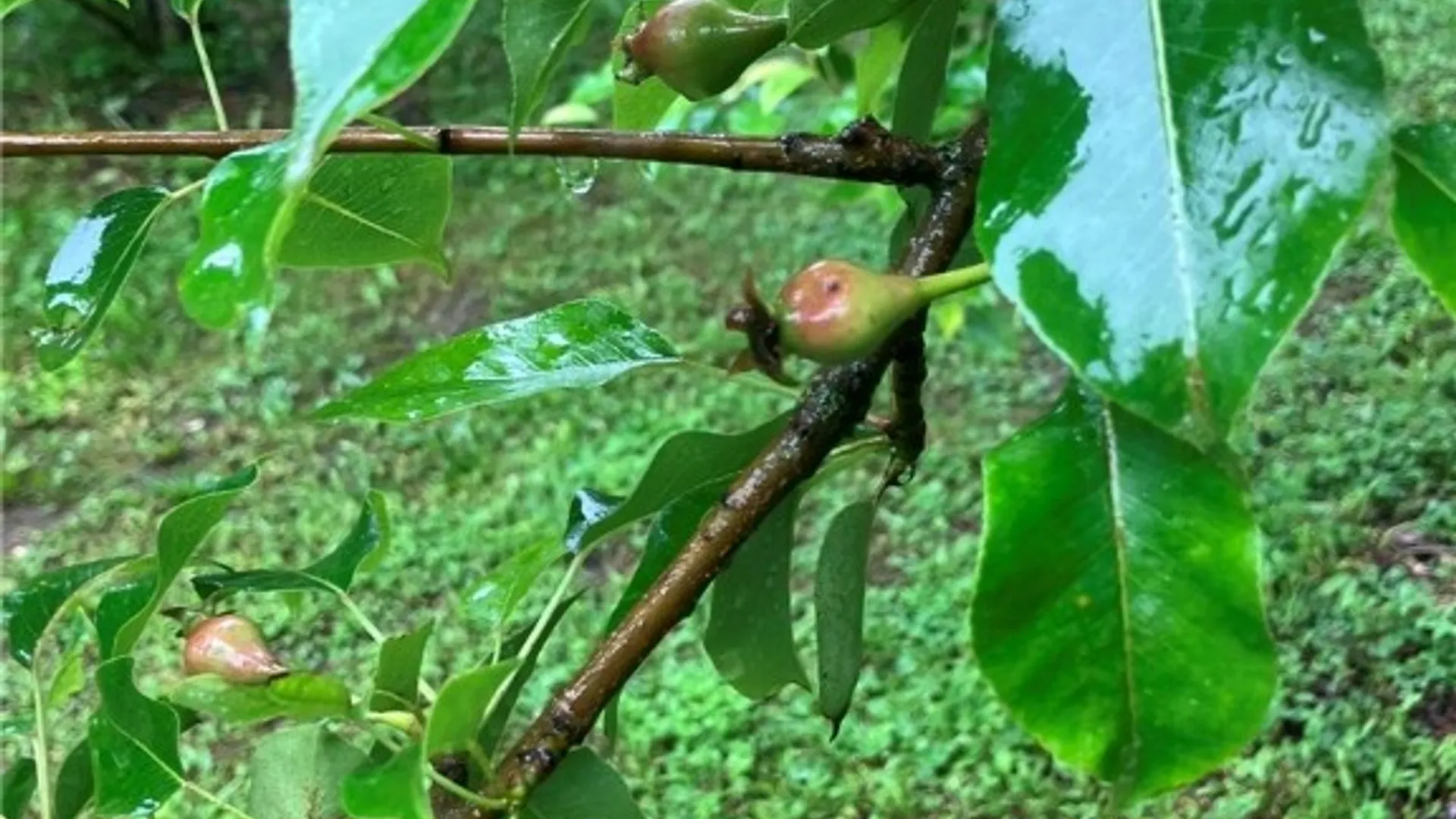 Property at 144 Prospect Valley Road, Candor, NY 13864 22