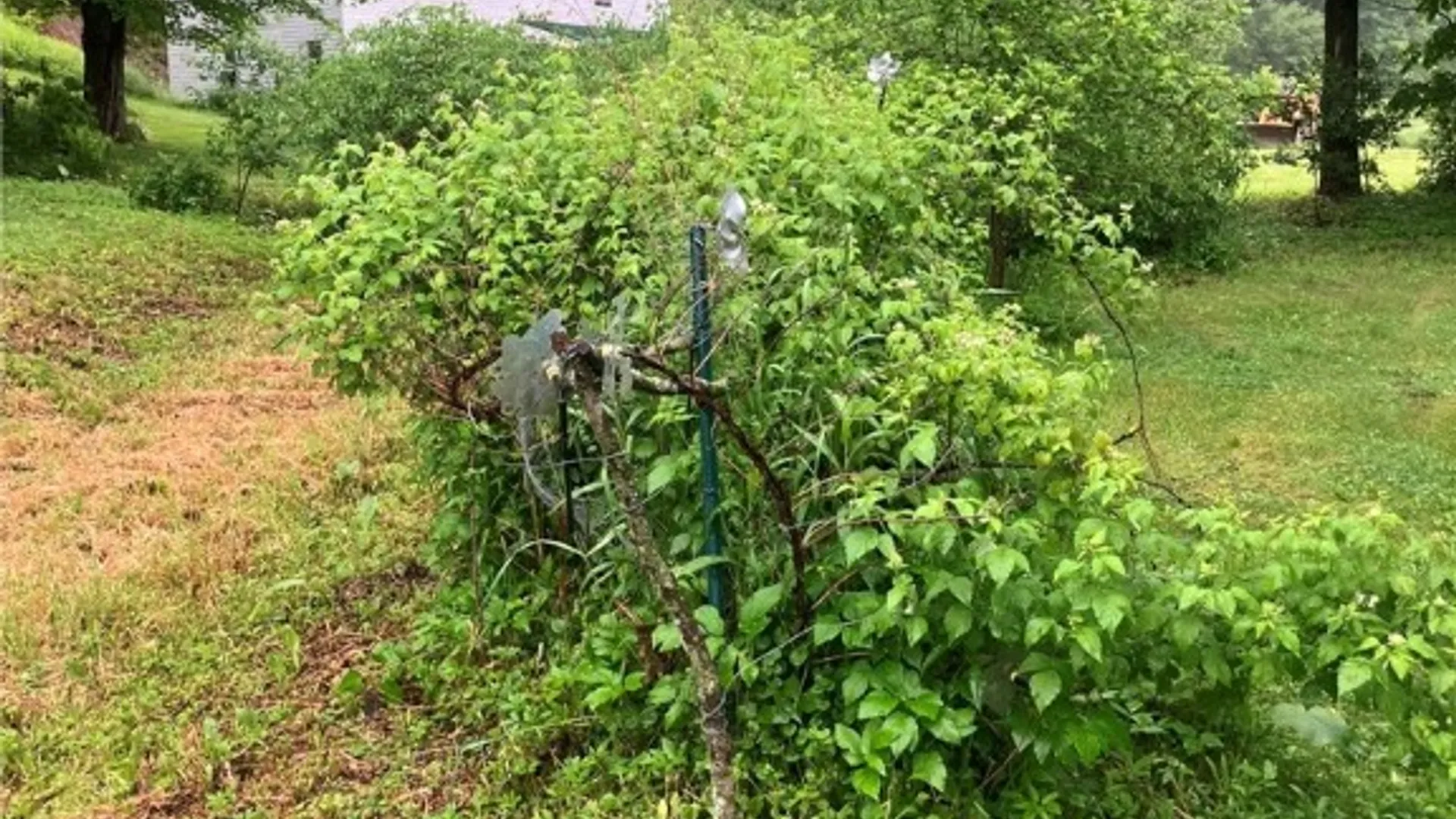 Property at 144 Prospect Valley Road, Candor, NY 13864 23