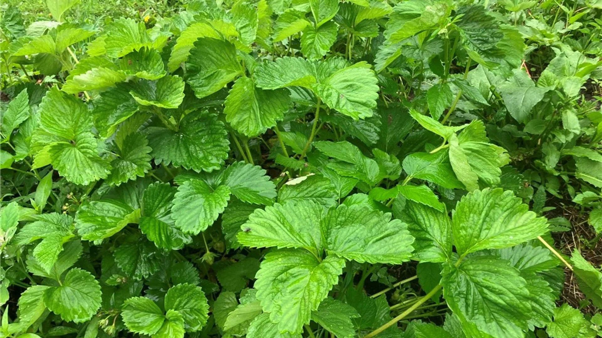 Property at 144 Prospect Valley Road, Candor, NY 13864 24