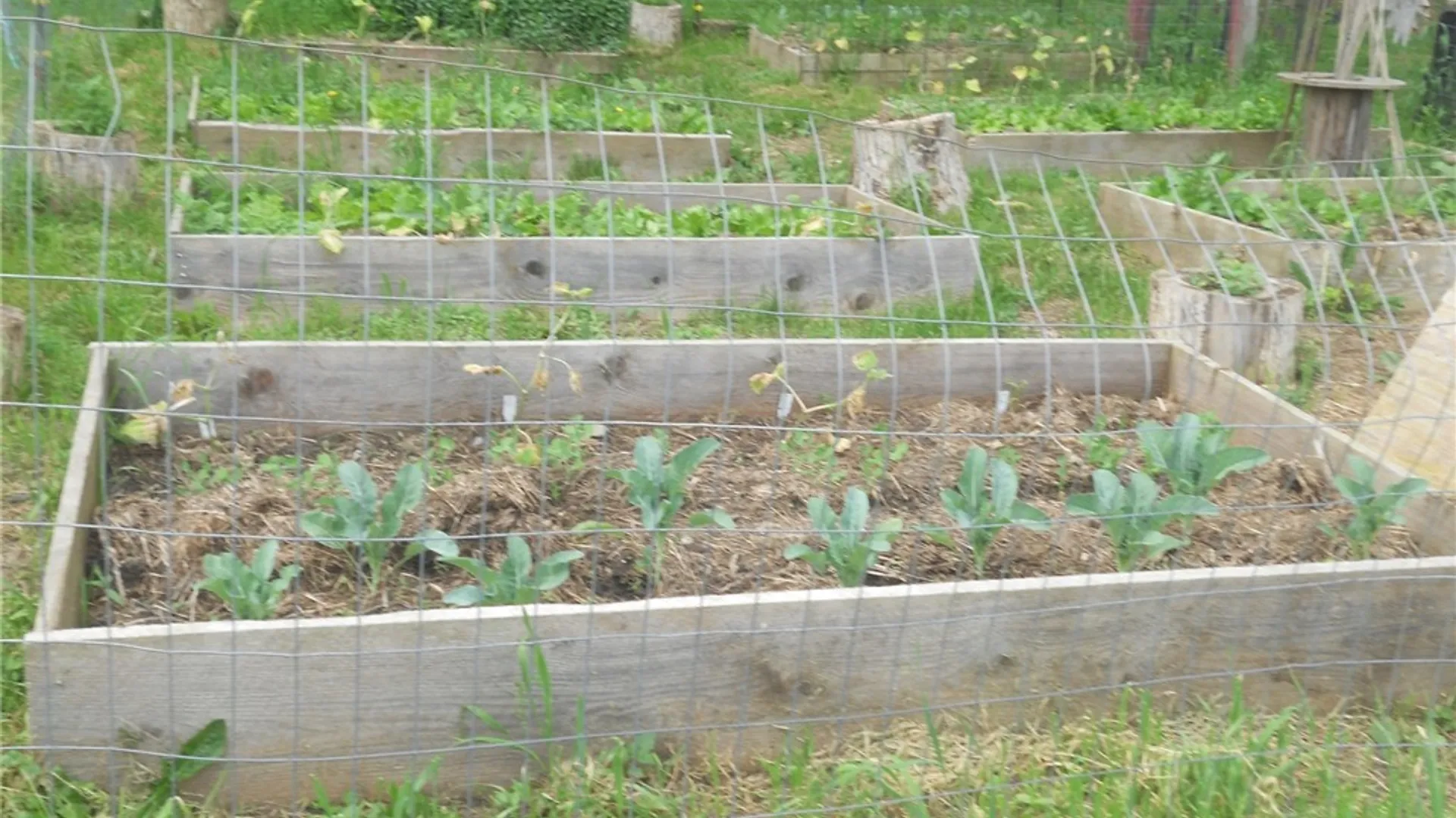 Property at 144 Prospect Valley Road, Candor, NY 13864 25