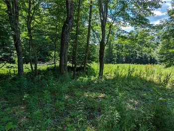Property at 214 Larchwood Lane, Laurens, NY 13796