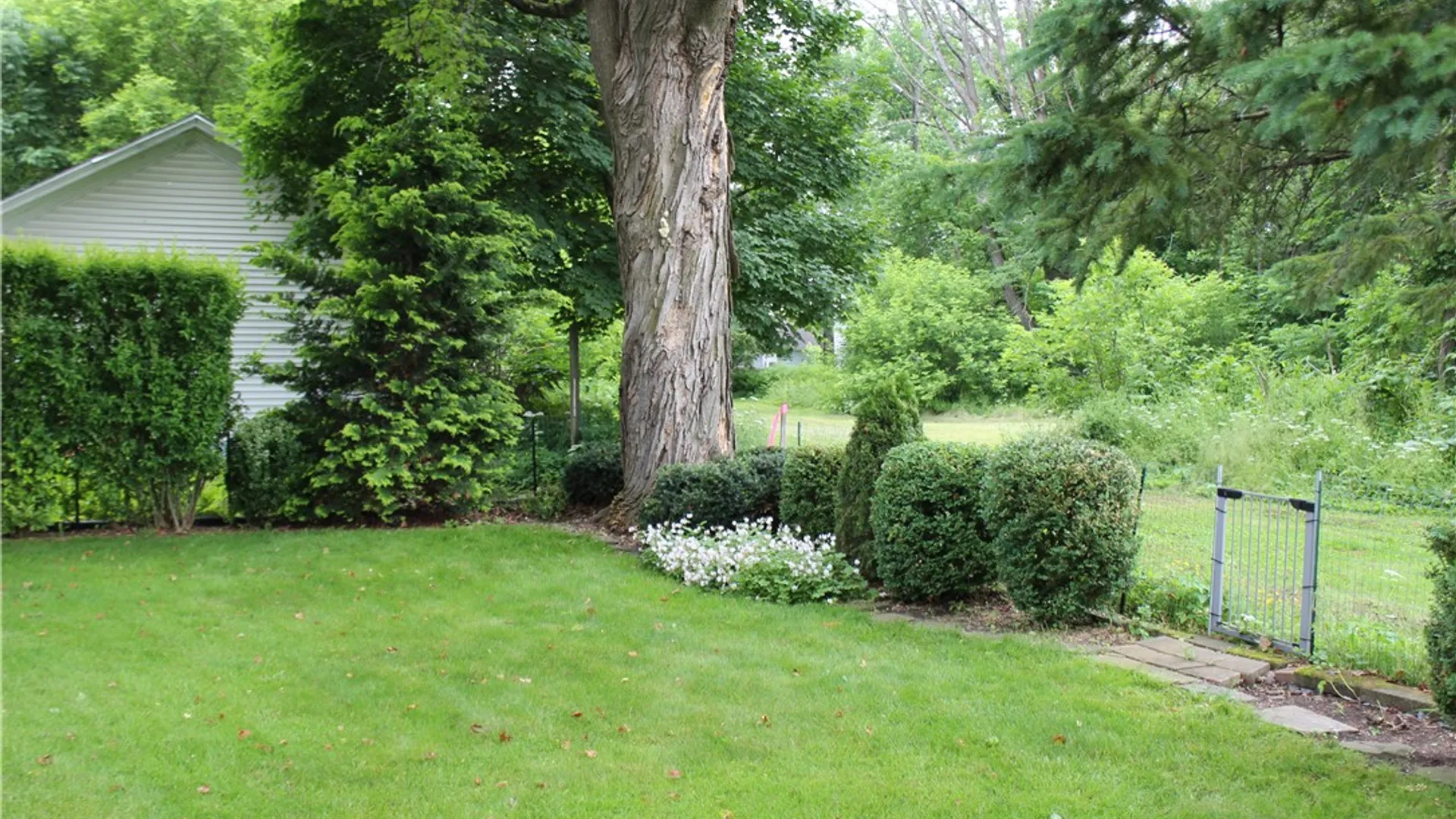 Property at 17 Hickok Ave, Norwich, NY 13815 12