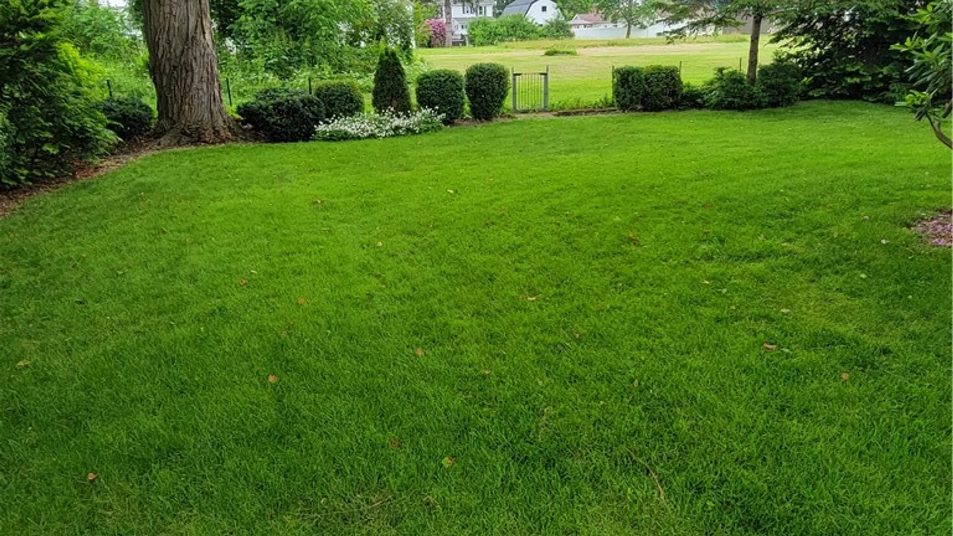 Property at 17 Hickok Ave, Norwich, NY 13815 13