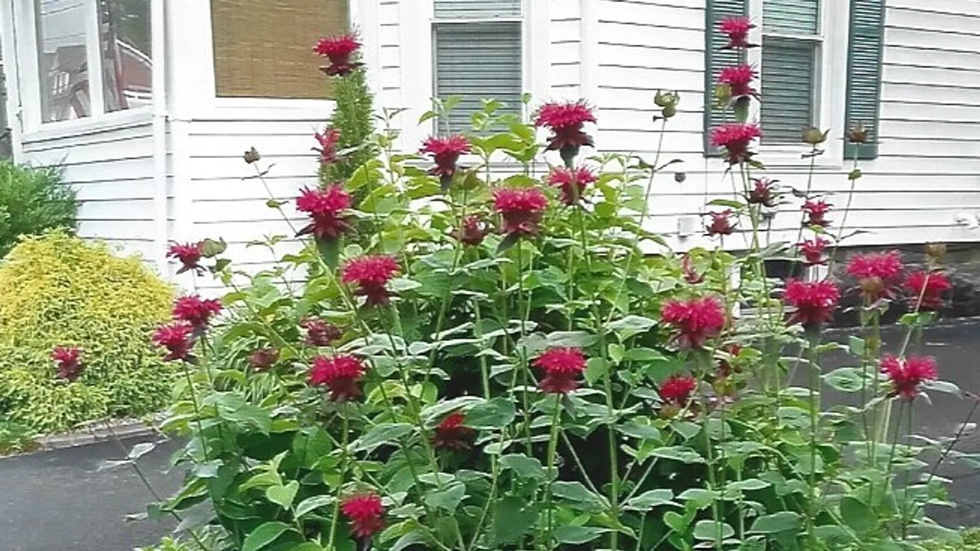 Property at 17 Hickok Ave, Norwich, NY 13815 3