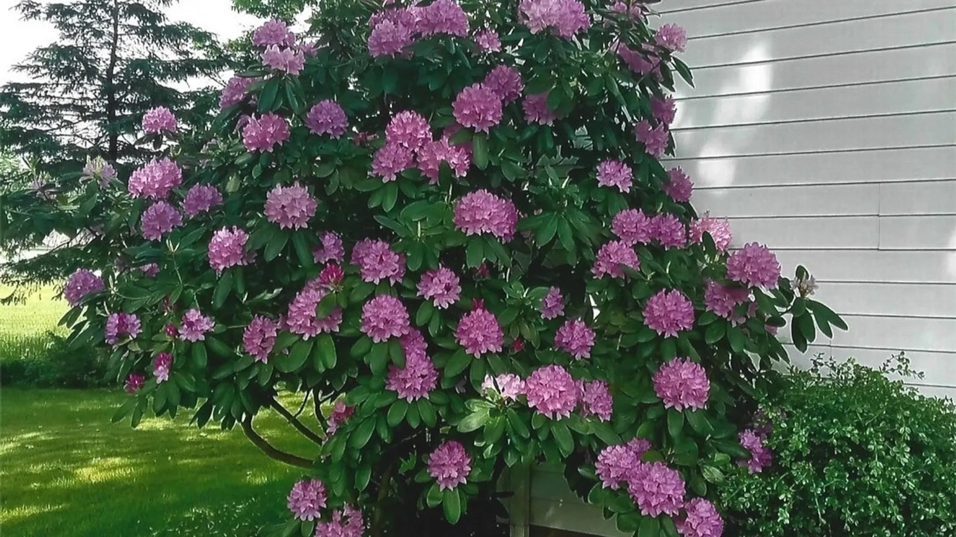 Property at 17 Hickok Ave, Norwich, NY 13815 7