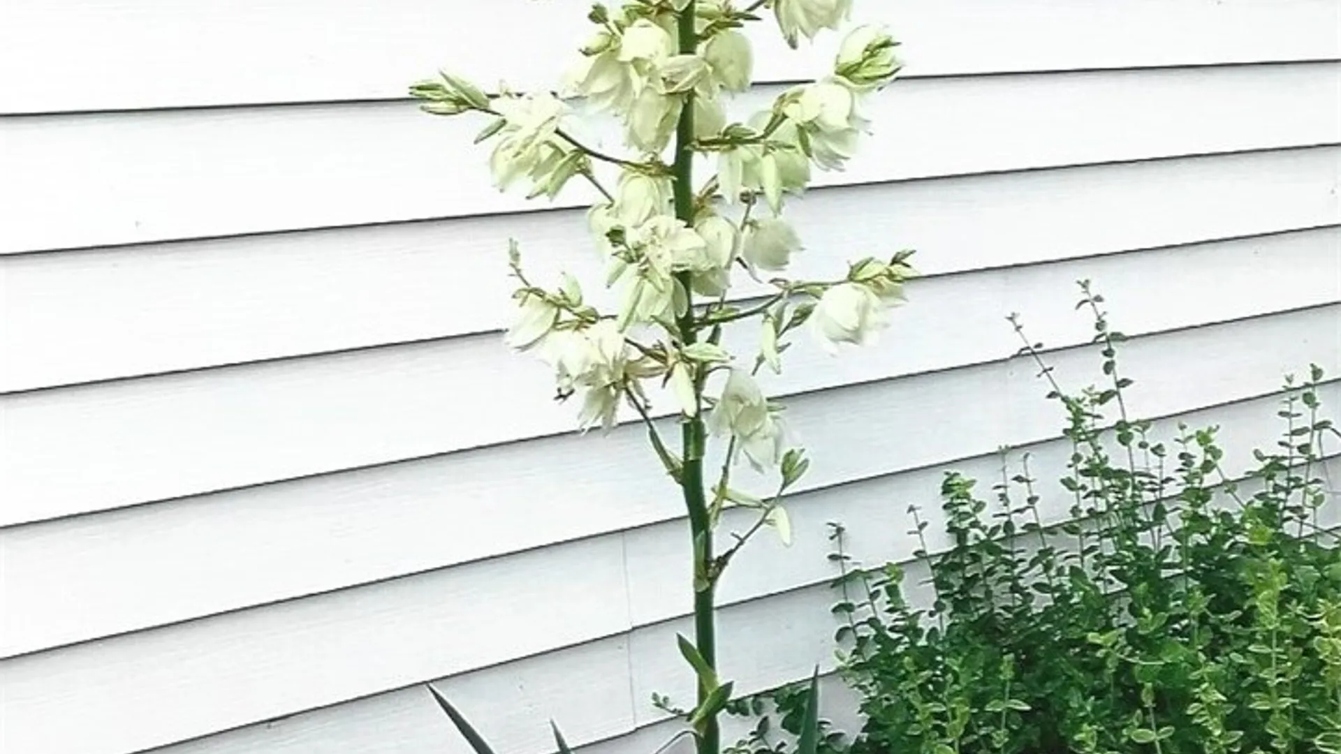 Property at 17 Hickok Ave, Norwich, NY 13815 9