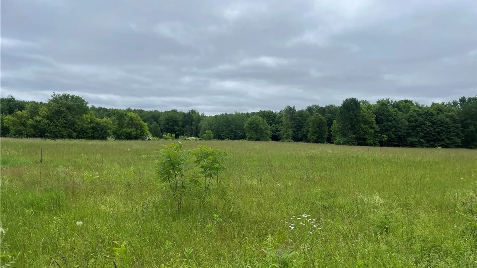 Property at L1 County Route 7, Hannibal, NY 13074 10