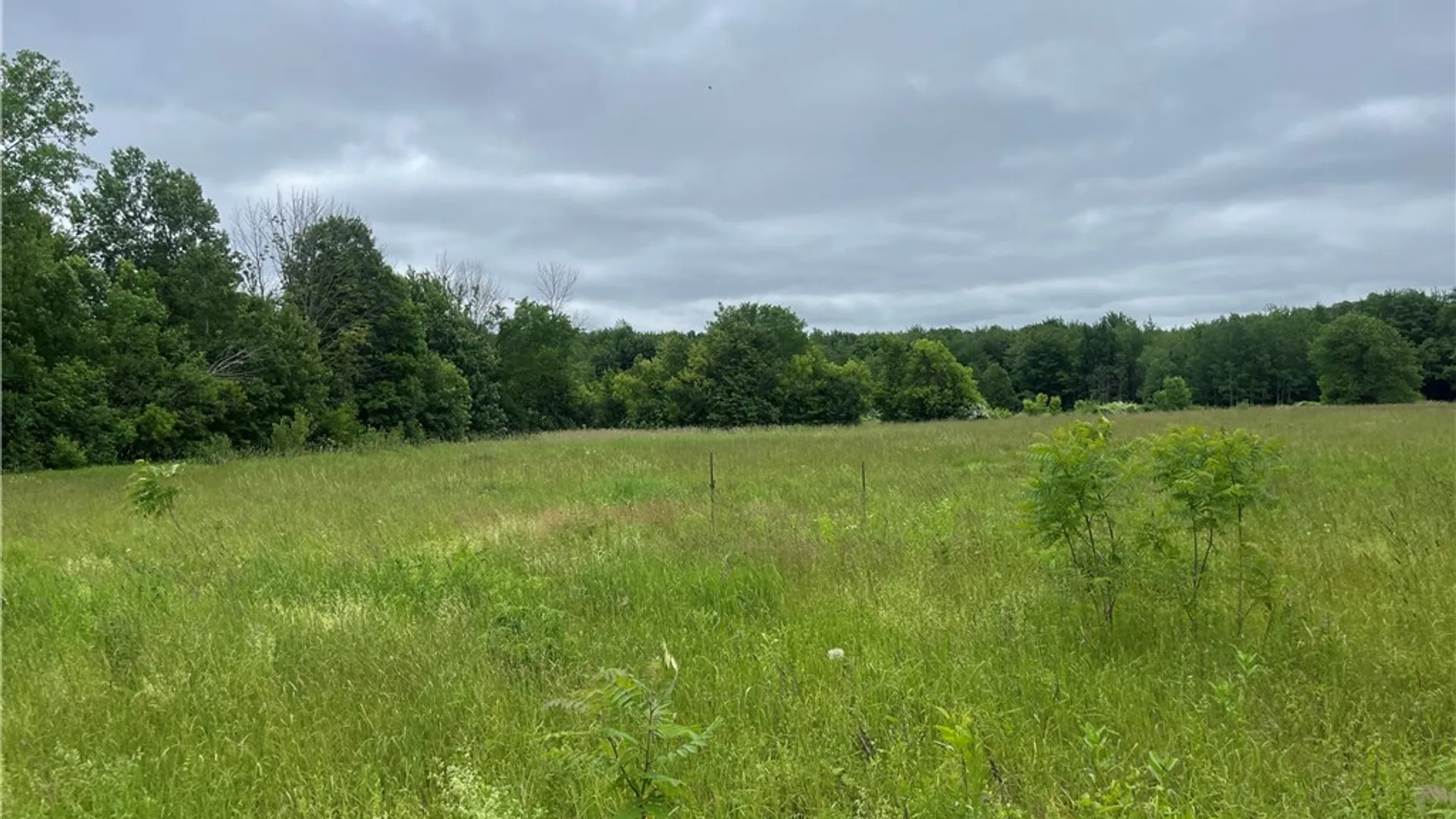 Property at L1 County Route 7, Hannibal, NY 13074 11