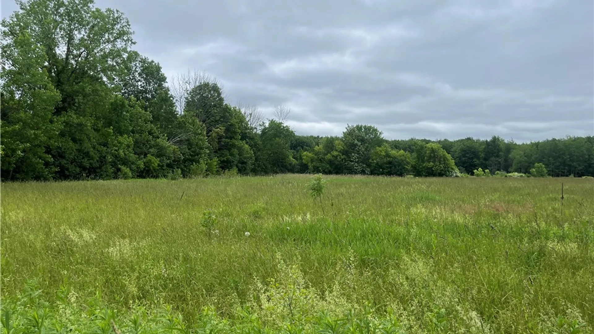 Property at L1 County Route 7, Hannibal, NY 13074 12
