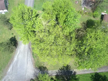 Property at 9618 Stickles Lane, Conquest, NY 13140