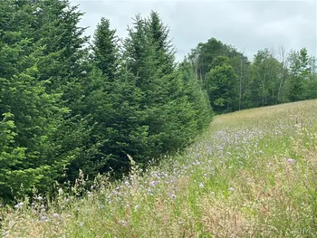 Property at Mcgraw Marathon Road, Marathon, NY 13803