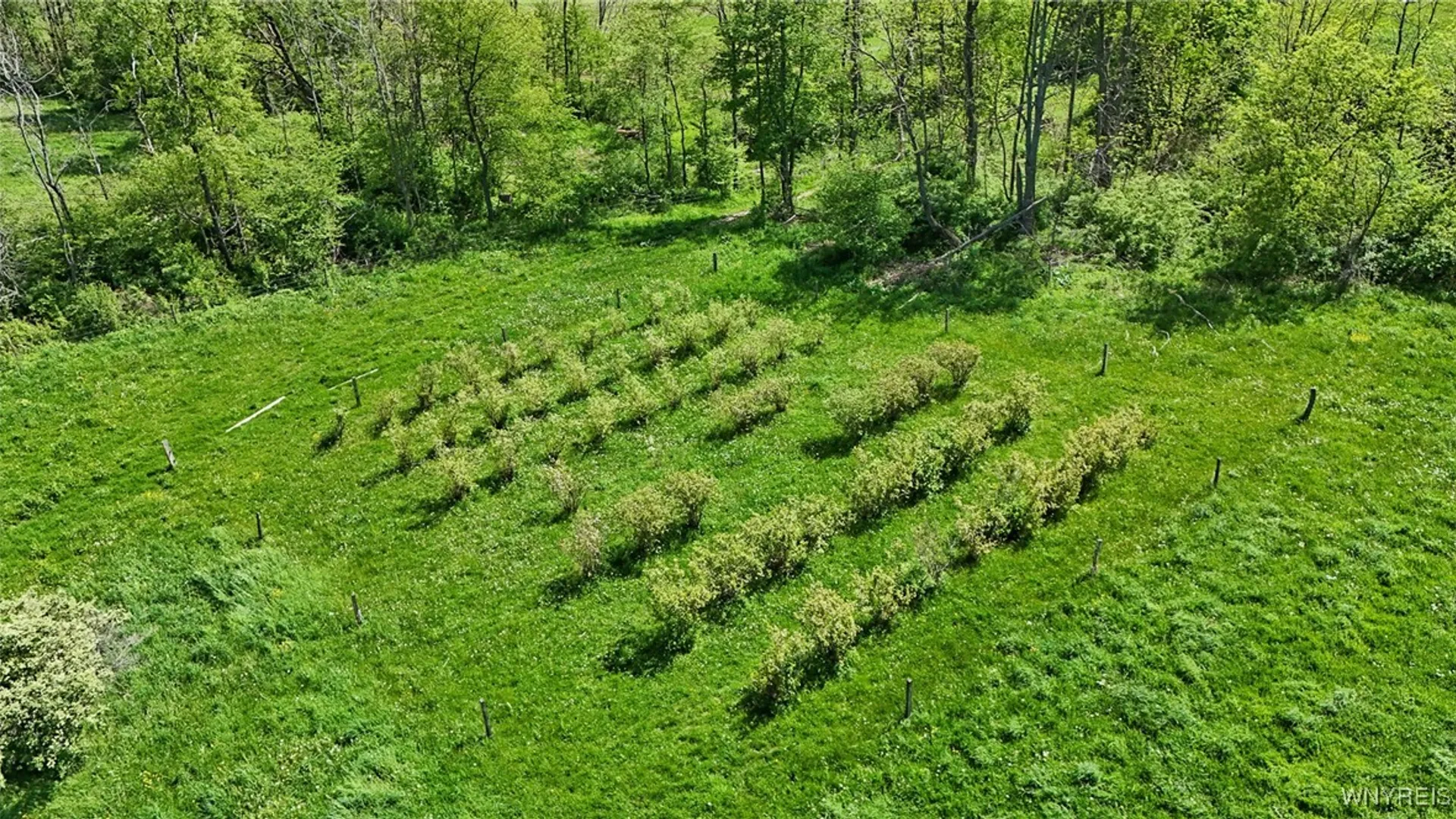 Property at 11577 Armison Road, Hume, NY 14735 18