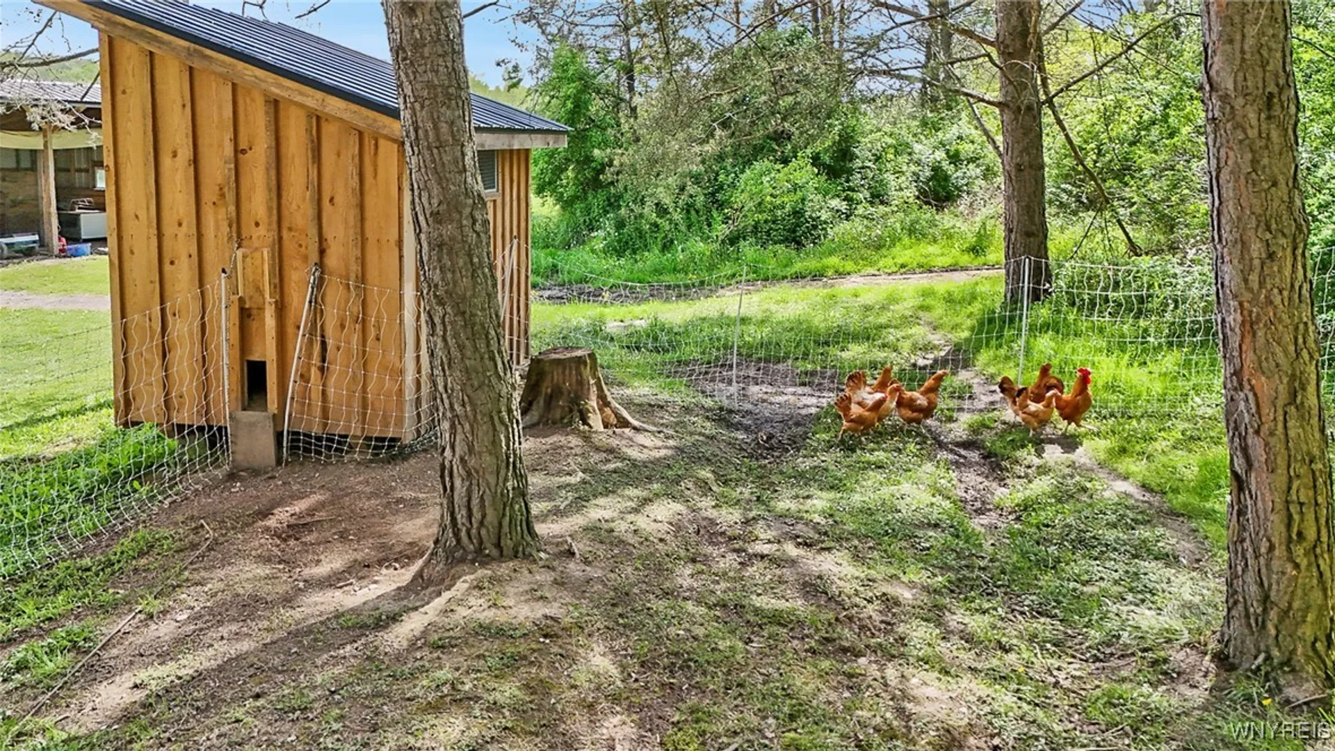 Property at 11577 Armison Road, Hume, NY 14735 20