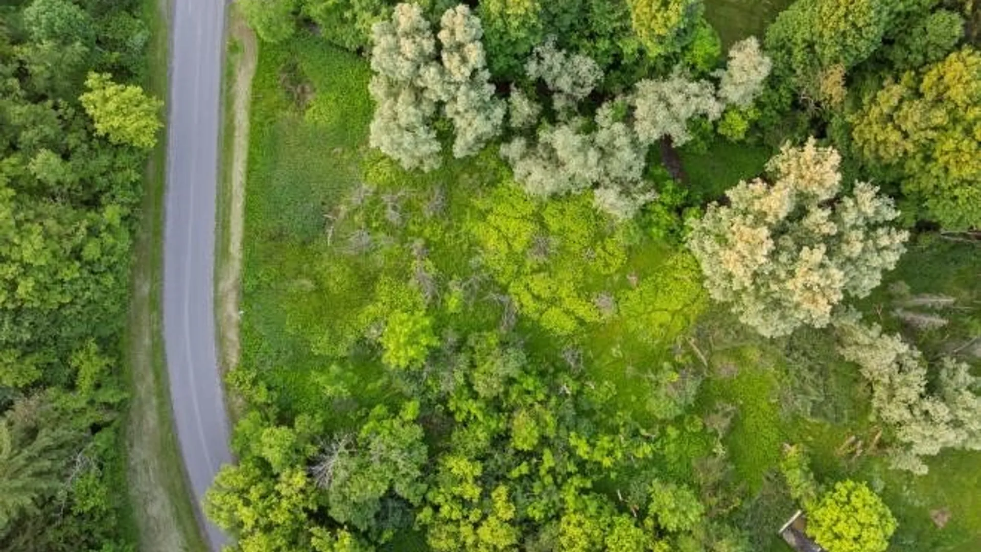 Property at Lot 23 Chapel View, Kirkland, NY 13323 3