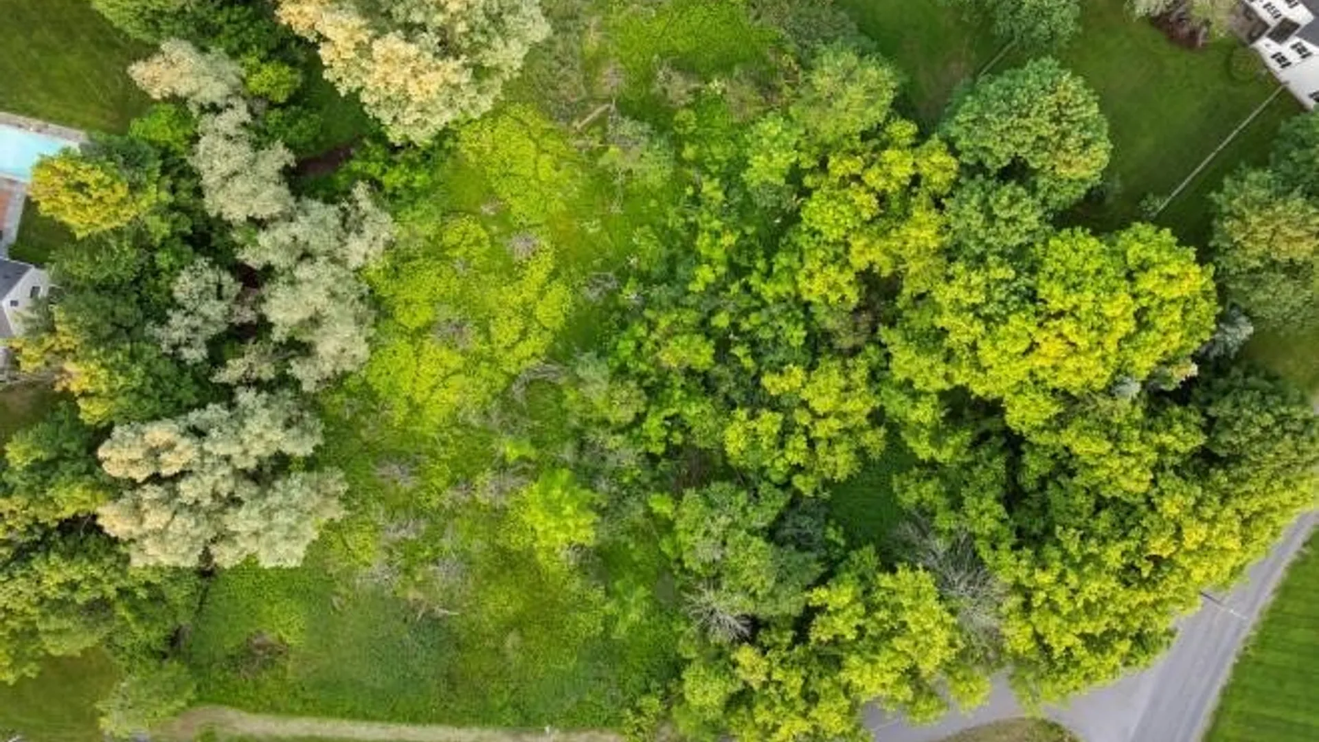 Property at Lot 23 Chapel View, Kirkland, NY 13323 4