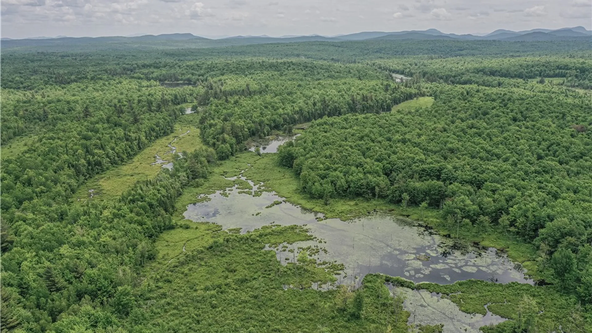 Property at Lake Ozonia Road, Hopkinton, NY 12985 10