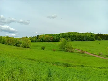 Property at Lot 1 Kiff Brook Road, Kortright, NY 13739