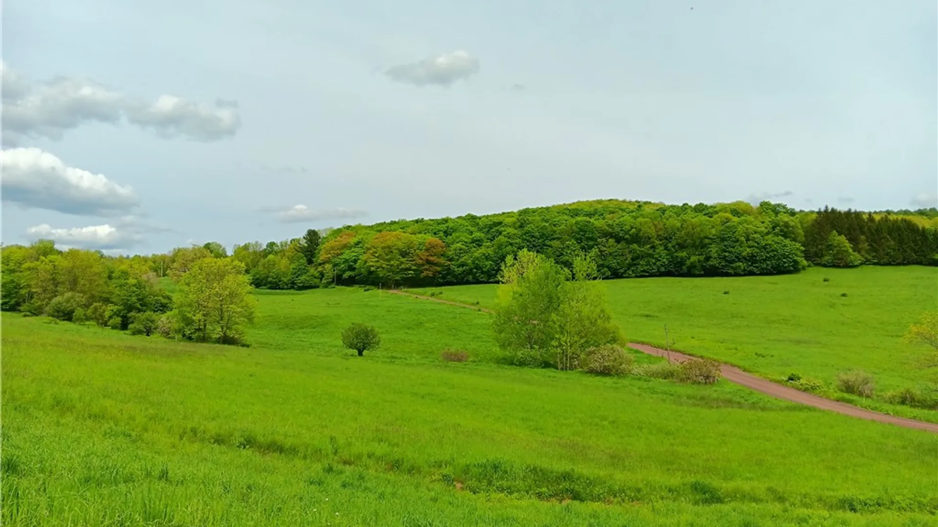 Property at Lot 1 Kiff Brook Road, Kortright, NY 13739 2