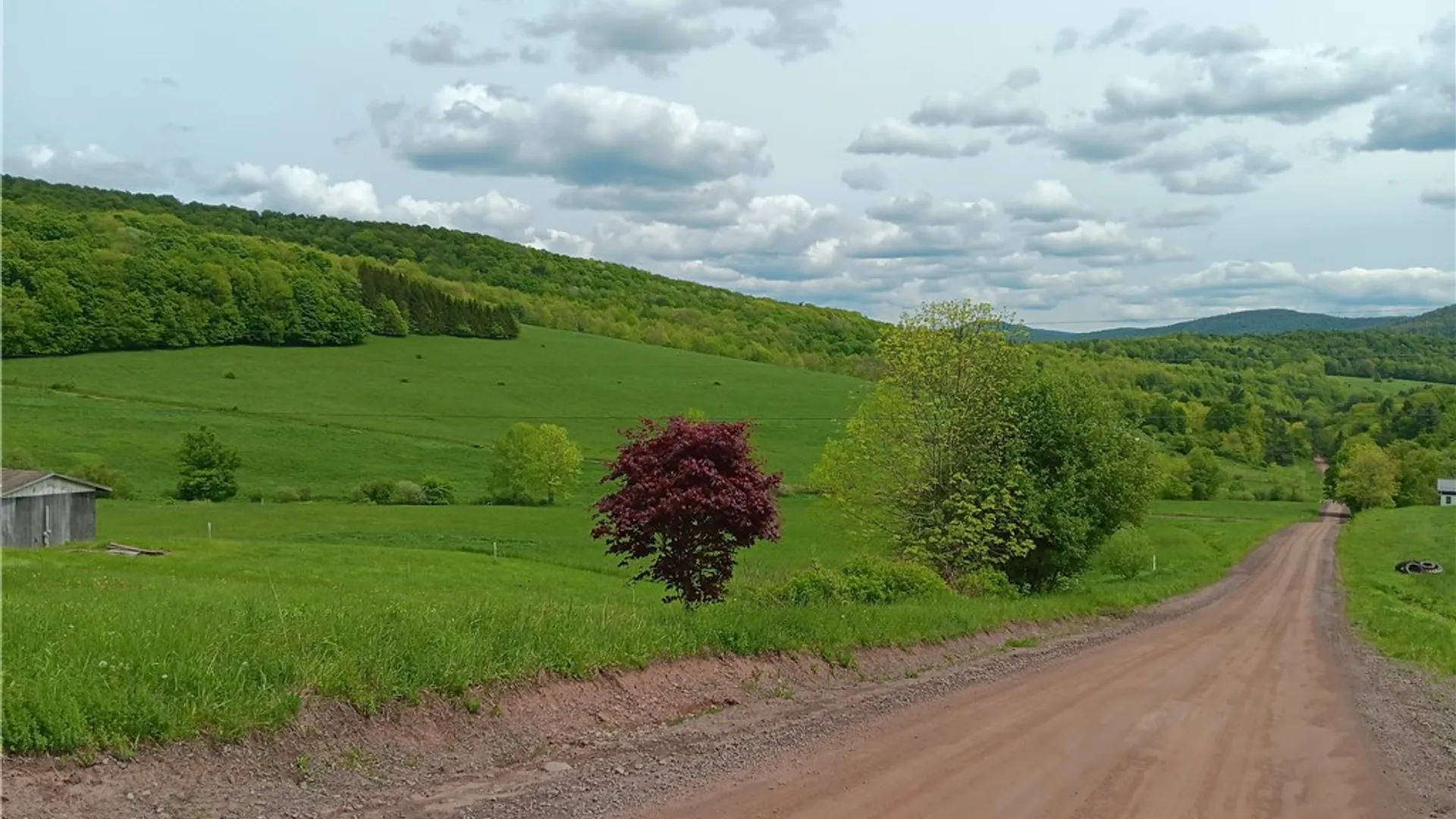 Property at Lot 1 Kiff Brook Road, Kortright, NY 13739 4