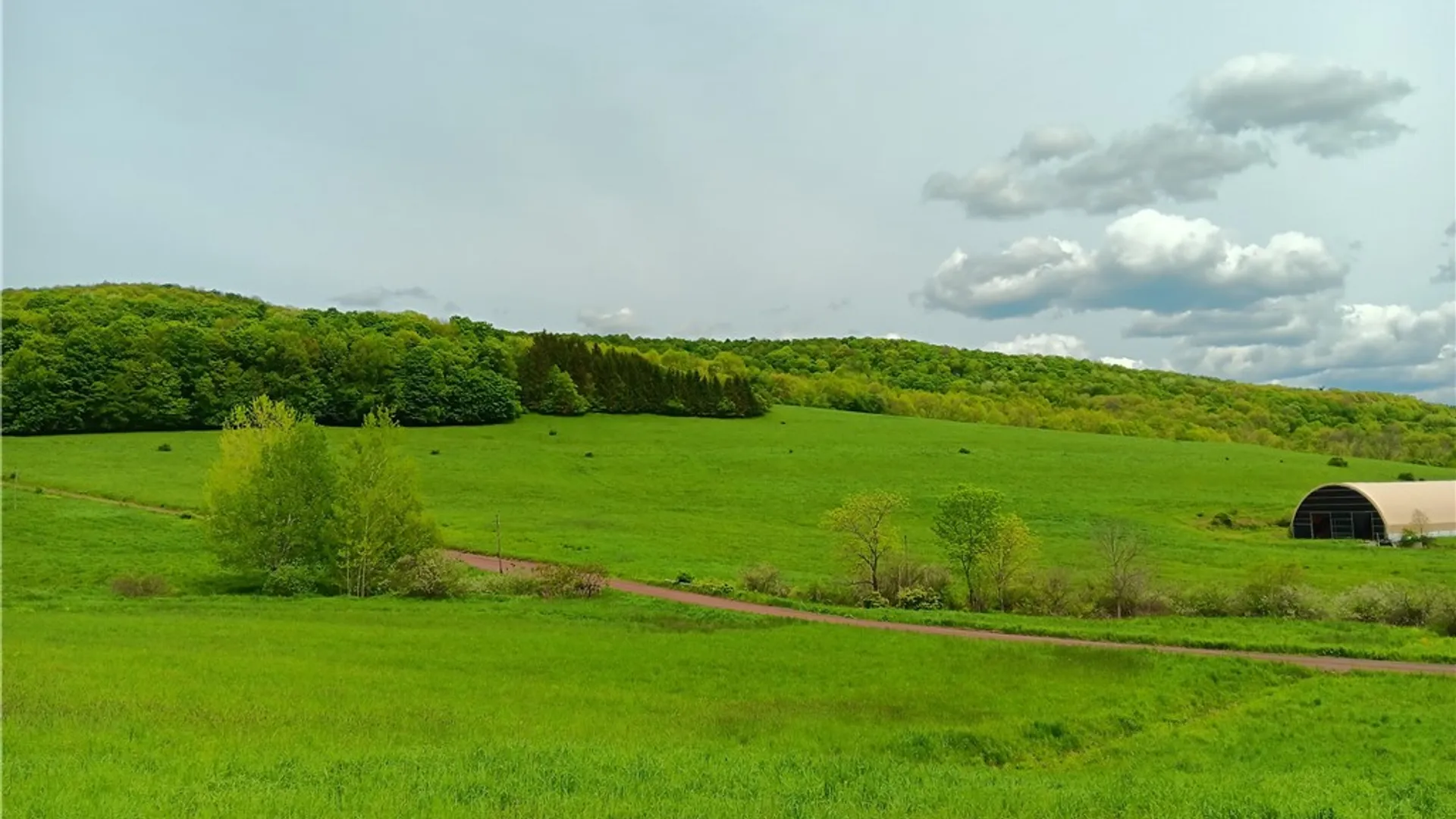 Property at Lot 1 Kiff Brook Road, Kortright, NY 13739 5