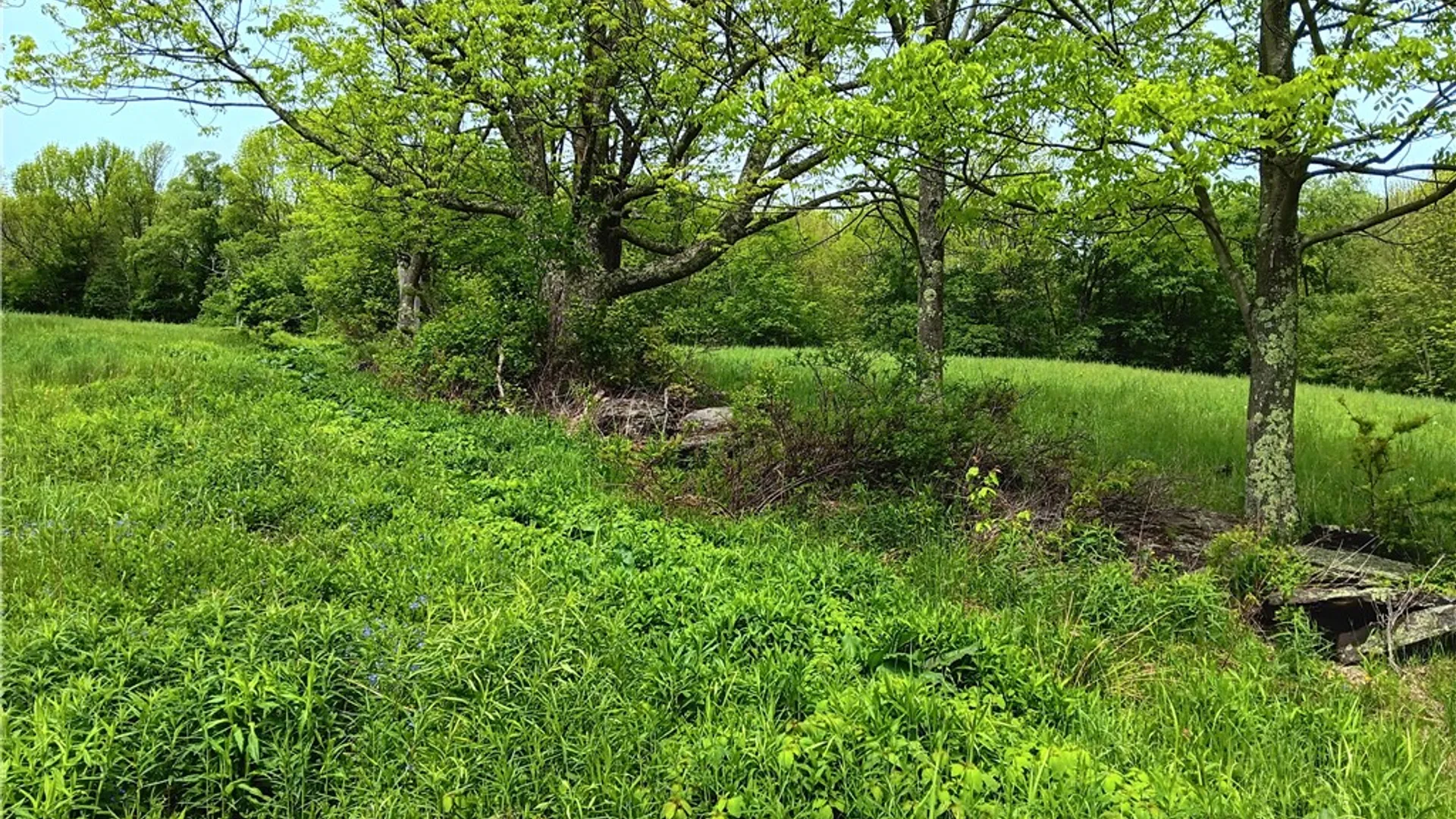 Property at John Rice Road, Kortright, NY 13739 10