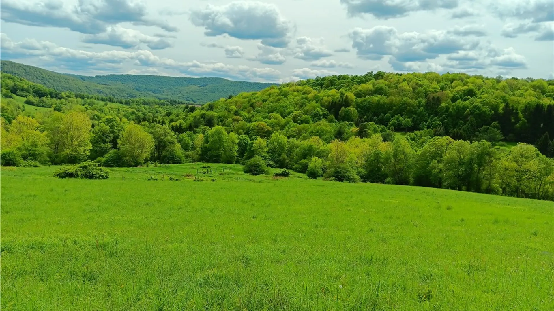 Property at John Rice Road, Kortright, NY 13739 2