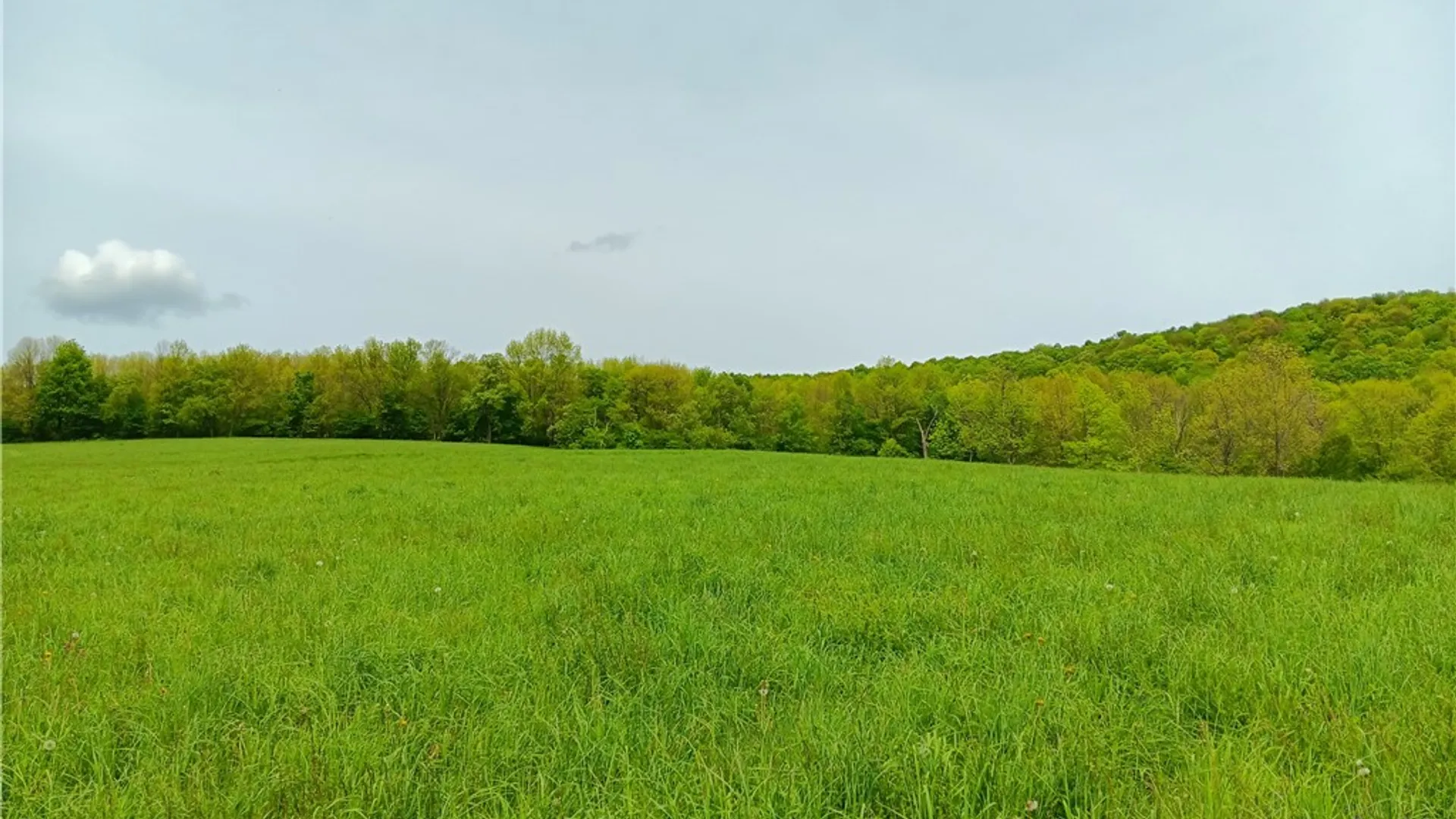 Property at John Rice Road, Kortright, NY 13739 3