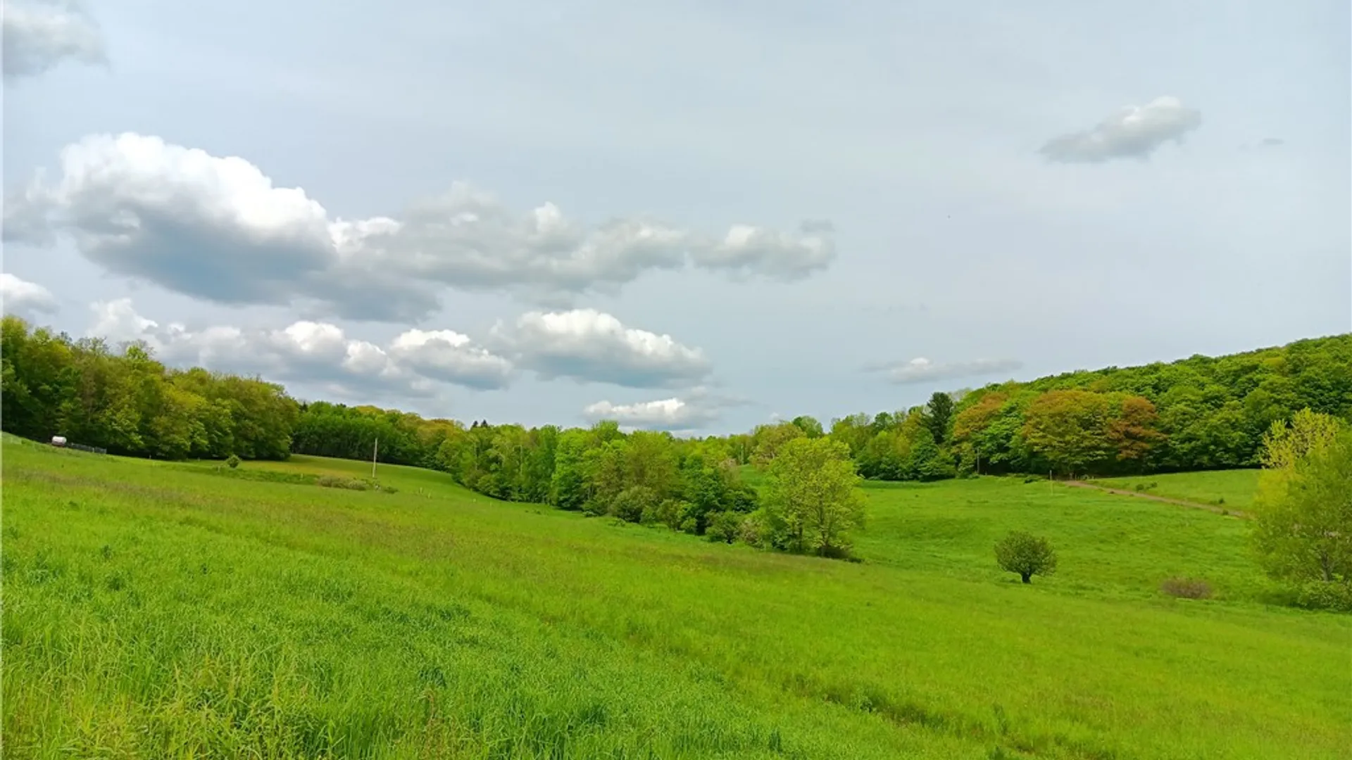 Property at John Rice Road, Kortright, NY 13739 5