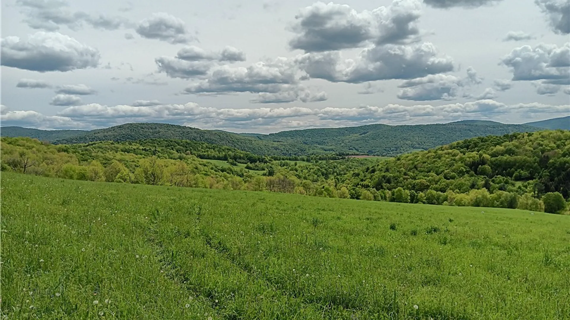 Property at John Rice Road, Kortright, NY 13739 6