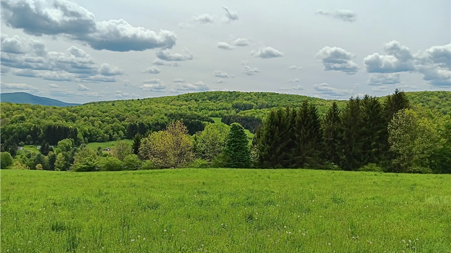 Property at John Rice Road, Kortright, NY 13739 7