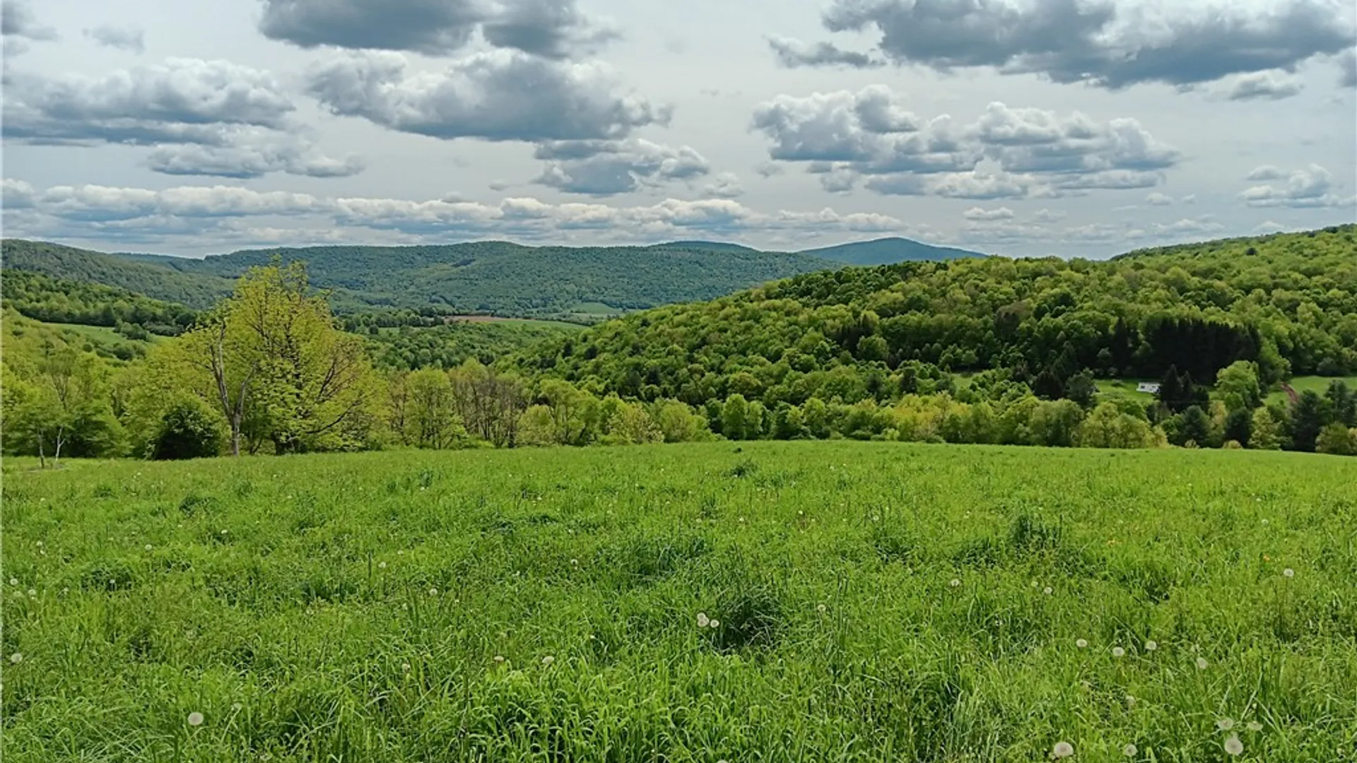 Property at John Rice Road, Kortright, NY 13739 8