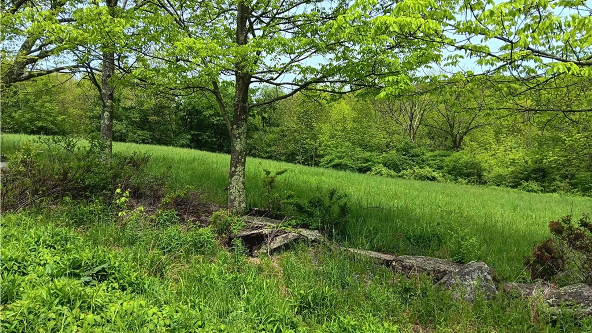 Property at John Rice Road, Kortright, NY 13739 9