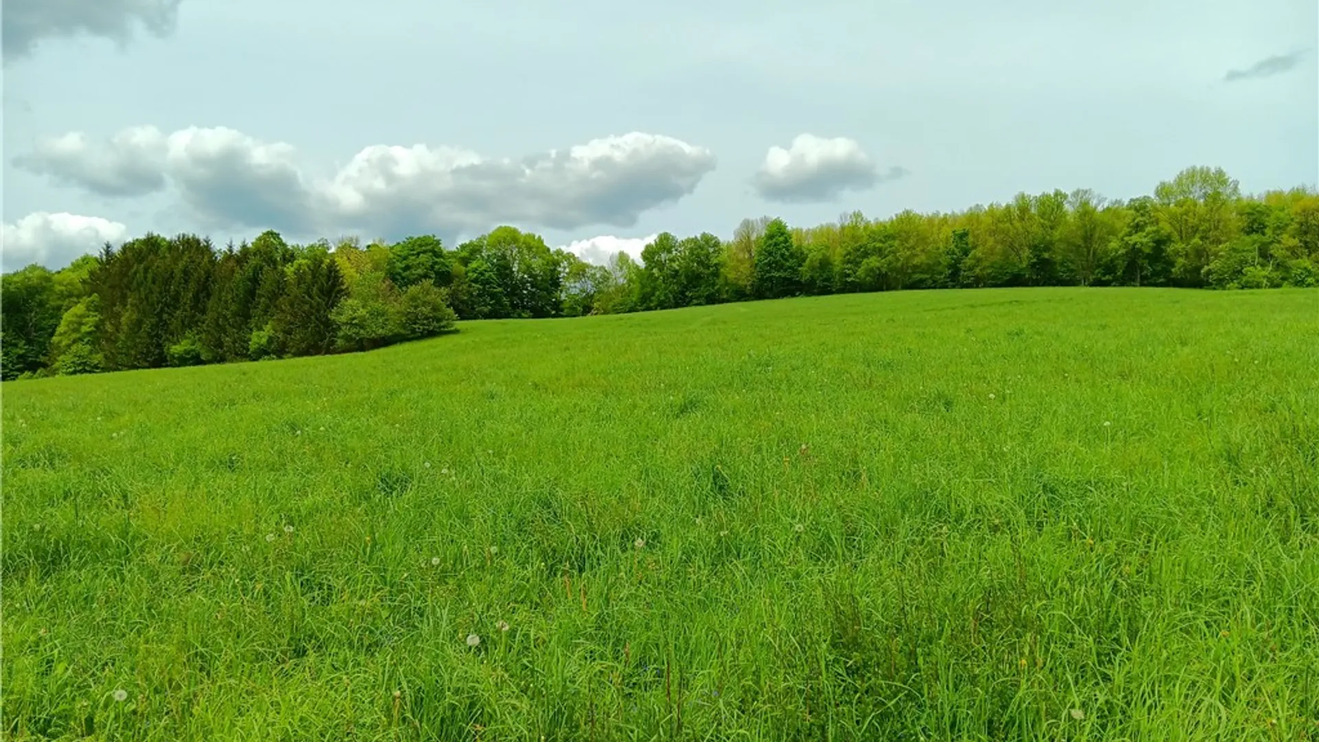 Property at 785 Kiff Brook Road, Kortright, NY 13739 13