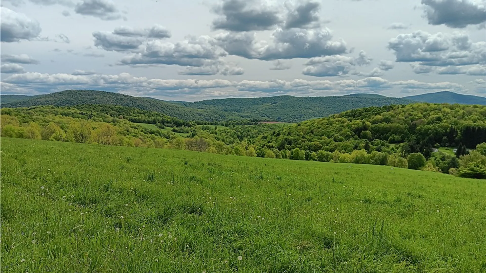 Property at 785 Kiff Brook Road, Kortright, NY 13739 16