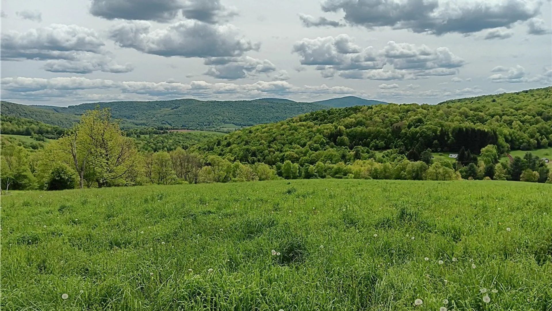 Property at 785 Kiff Brook Road, Kortright, NY 13739 17