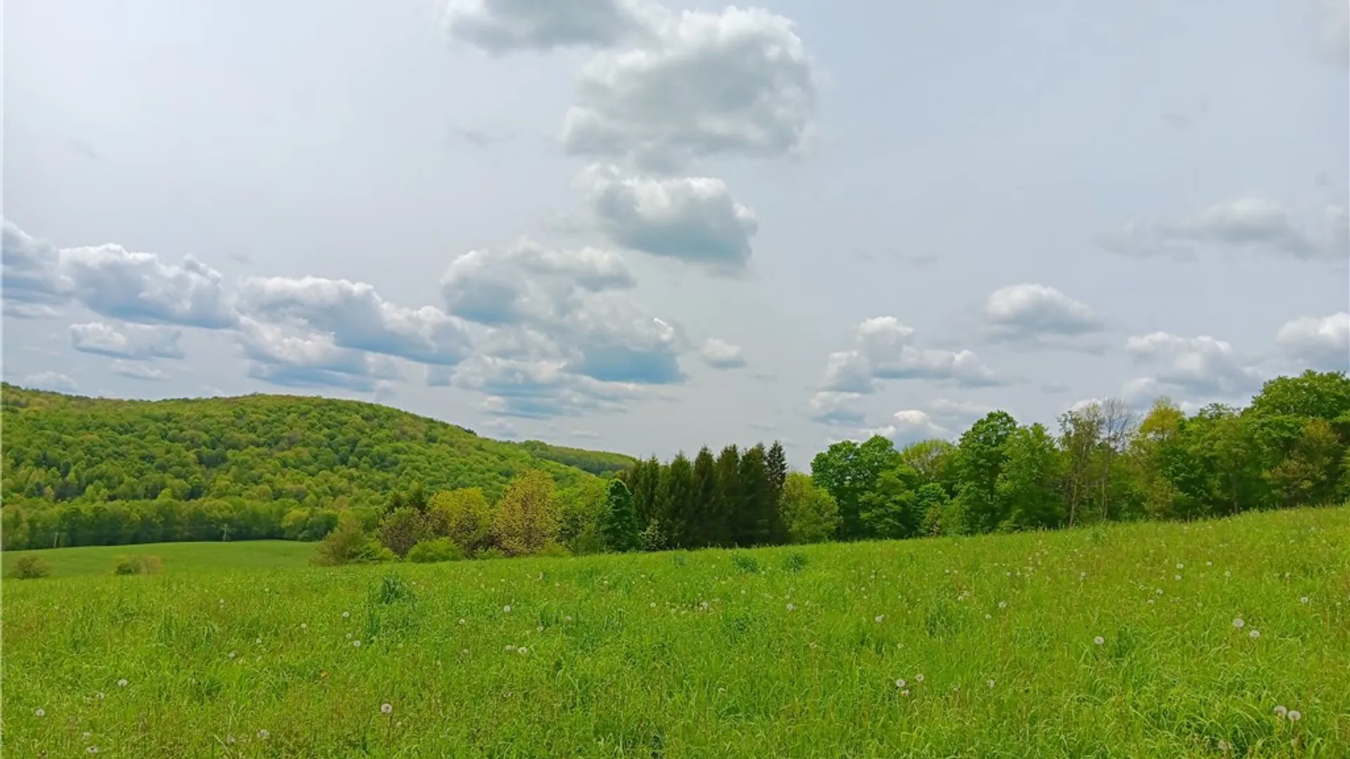 Property at 785 Kiff Brook Road, Kortright, NY 13739 18