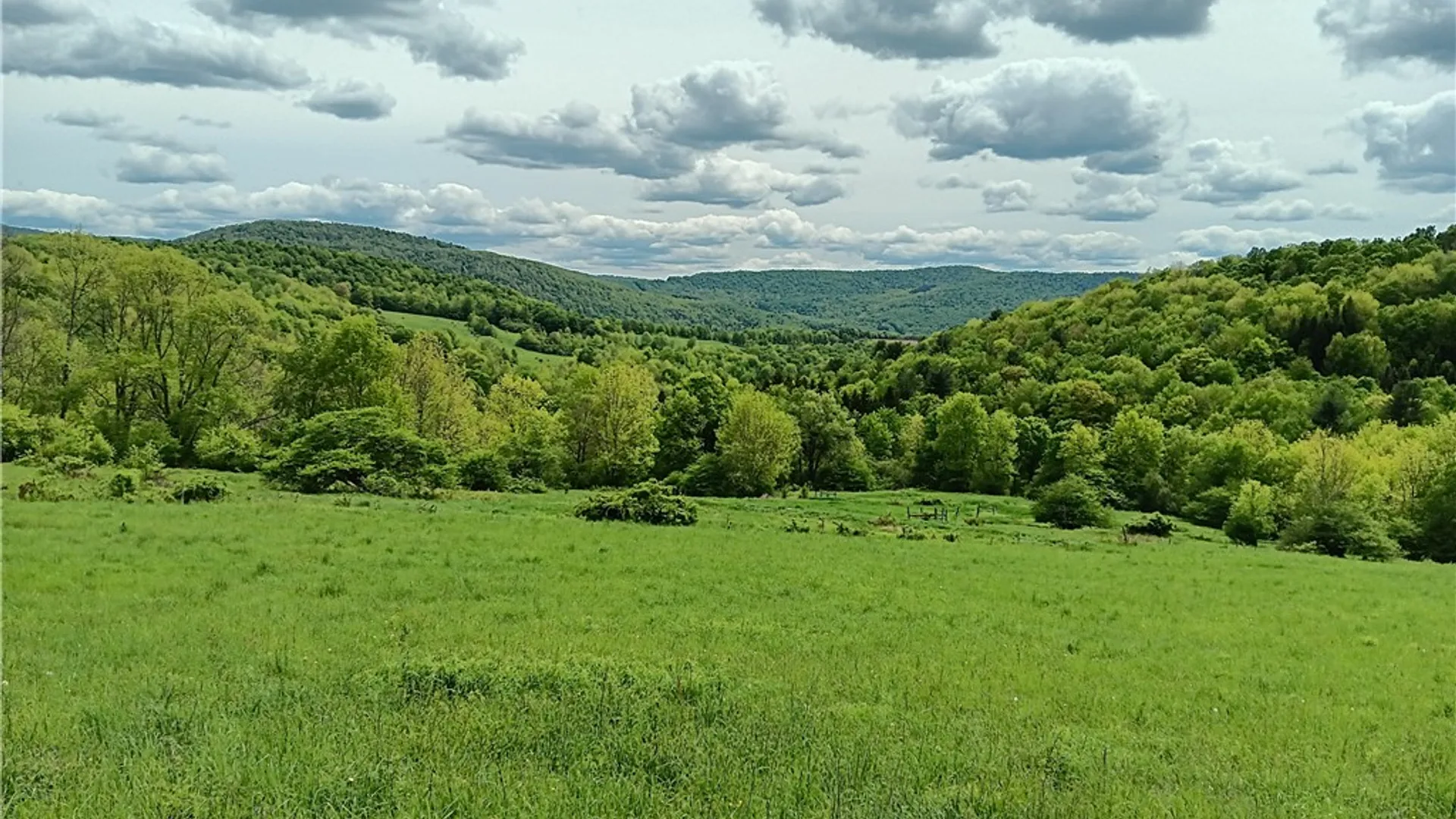 Property at 785 Kiff Brook Road, Kortright, NY 13739 19