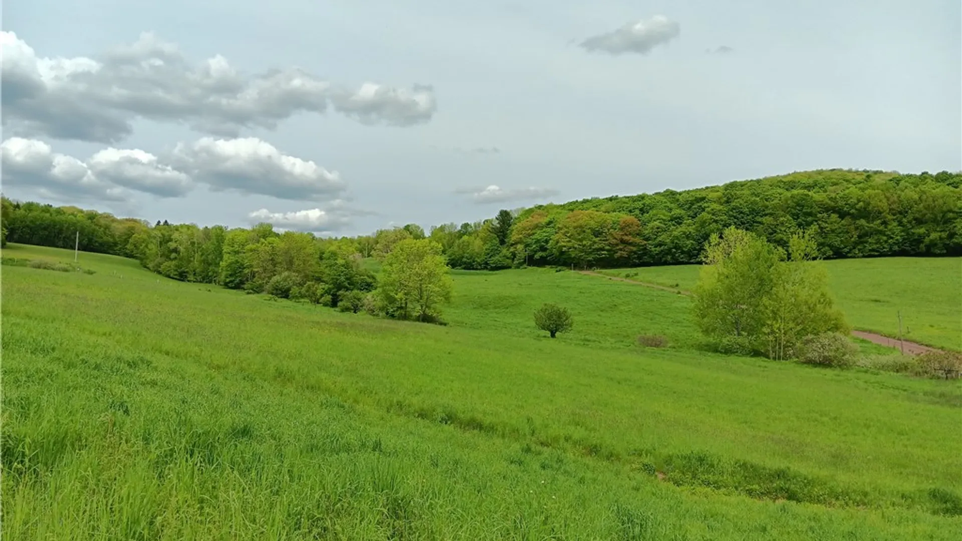 Property at 785 Kiff Brook Road, Kortright, NY 13739 3