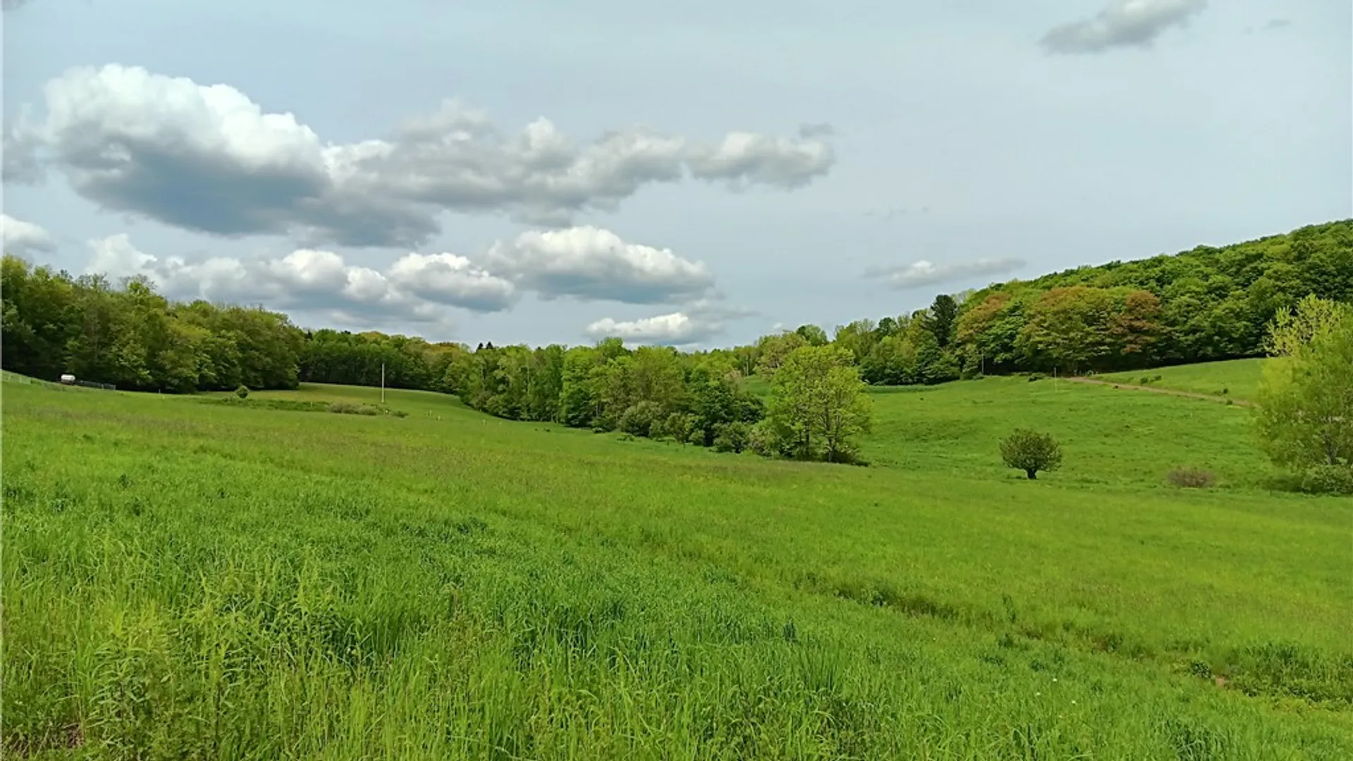 Property at 785 Kiff Brook Road, Kortright, NY 13739 4