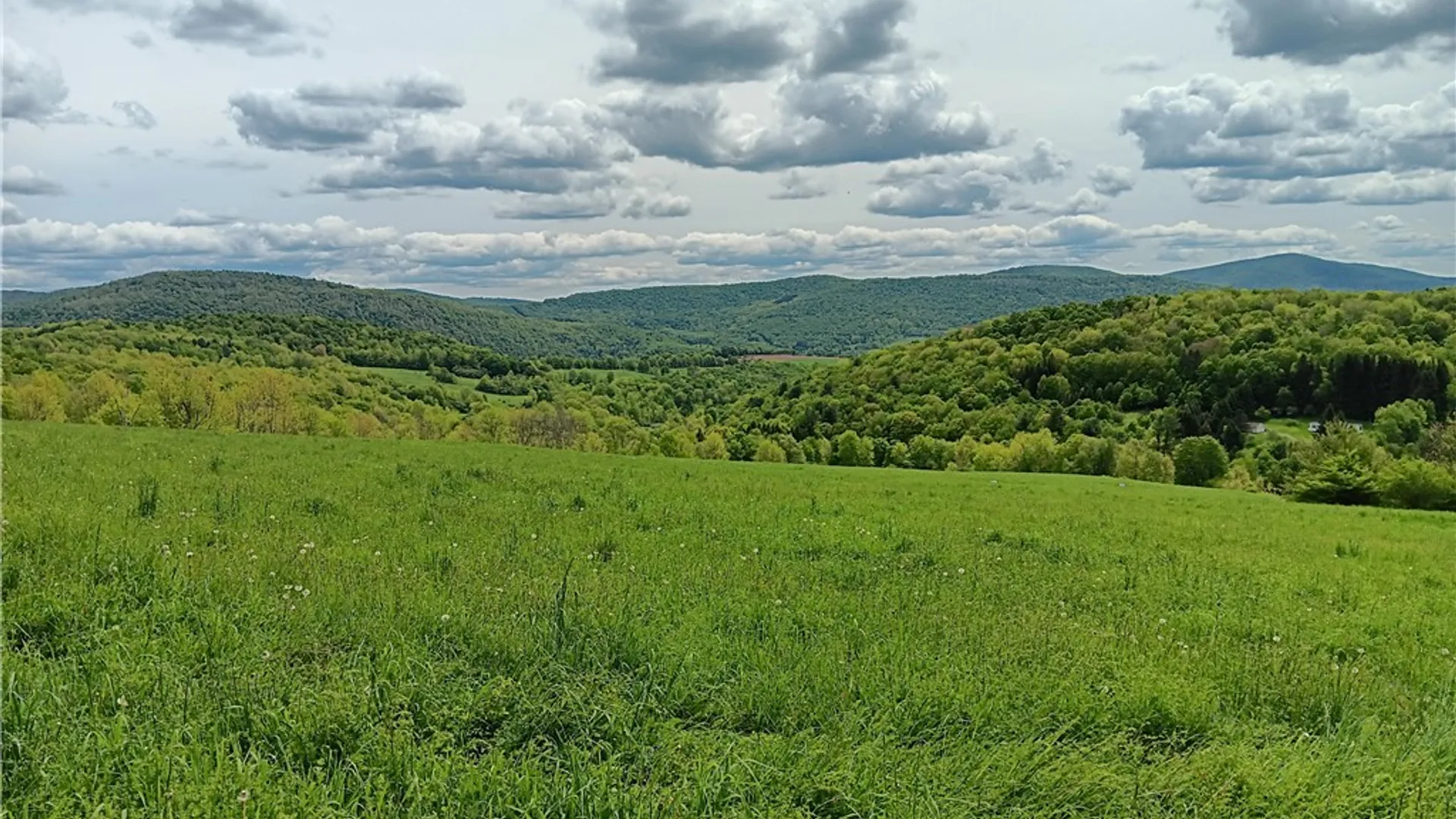 Property at 785 Kiff Brook Road, Kortright, NY 13739 6