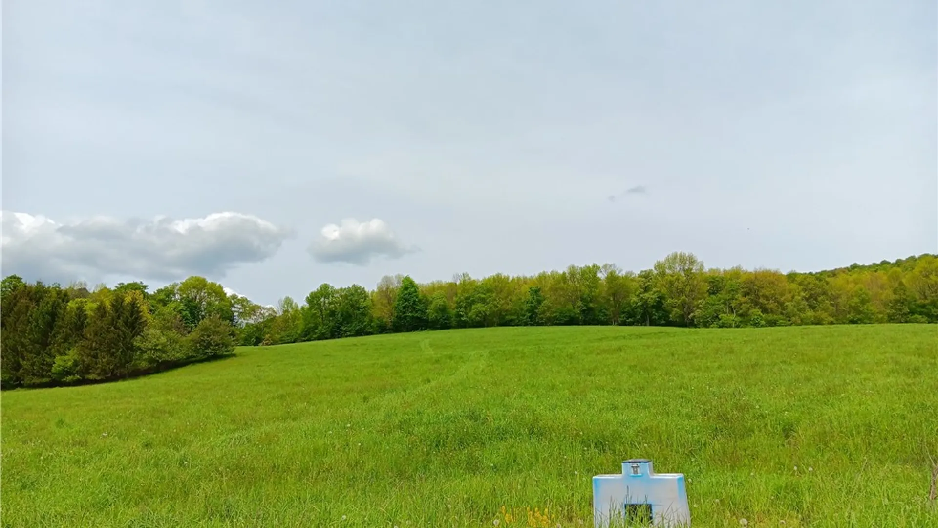 Property at 785 Kiff Brook Road, Kortright, NY 13739 8