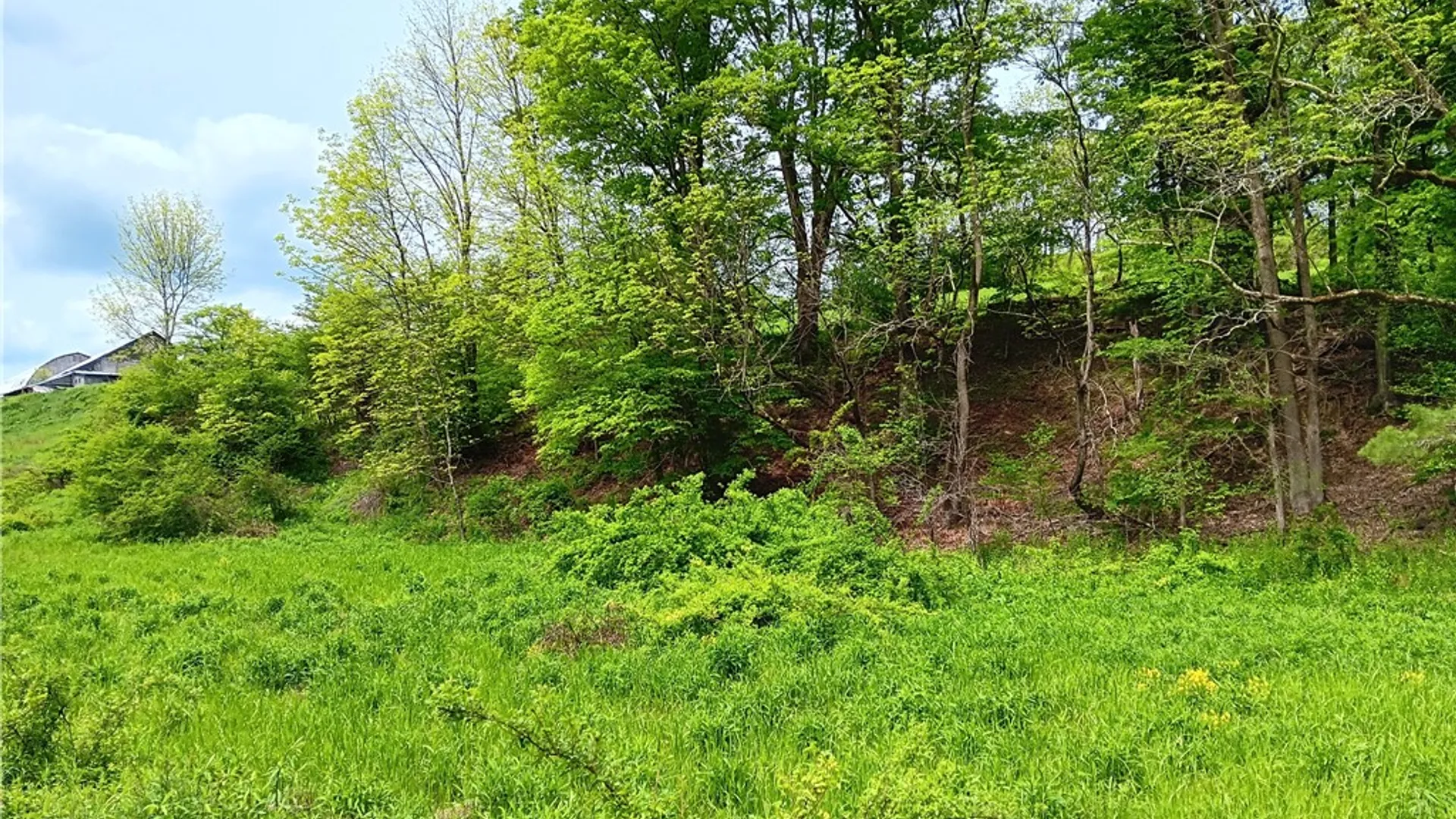 Property at Kiff Brook Road, Kortright, NY 13739 2