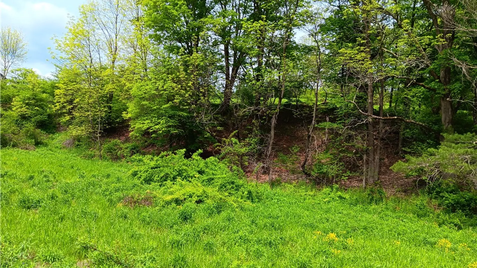 Property at Kiff Brook Road, Kortright, NY 13739 3