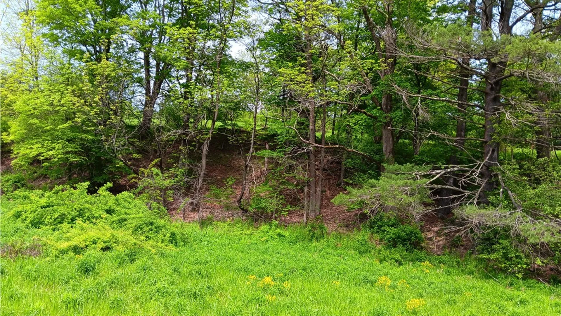 Property at Kiff Brook Road, Kortright, NY 13739 4