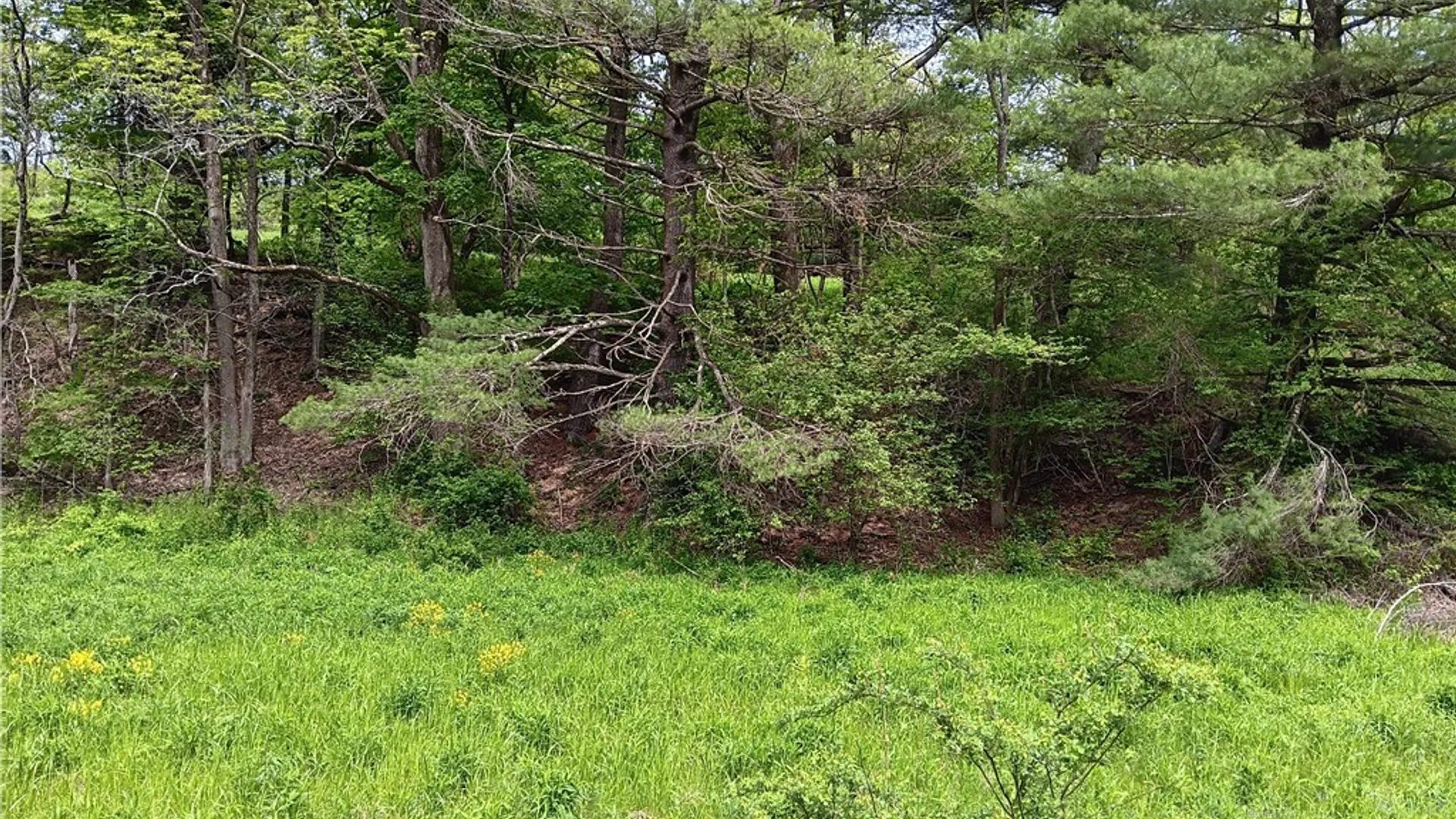 Property at Kiff Brook Road, Kortright, NY 13739 6