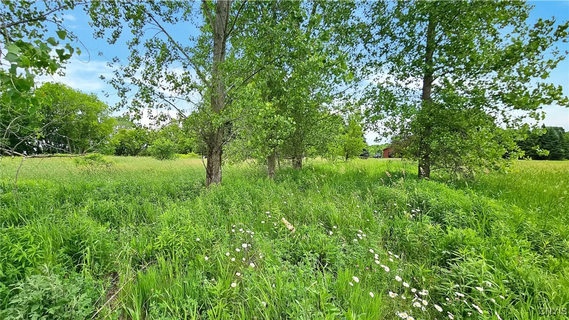 Property at 9692 East Road, Denmark, NY 13367 10